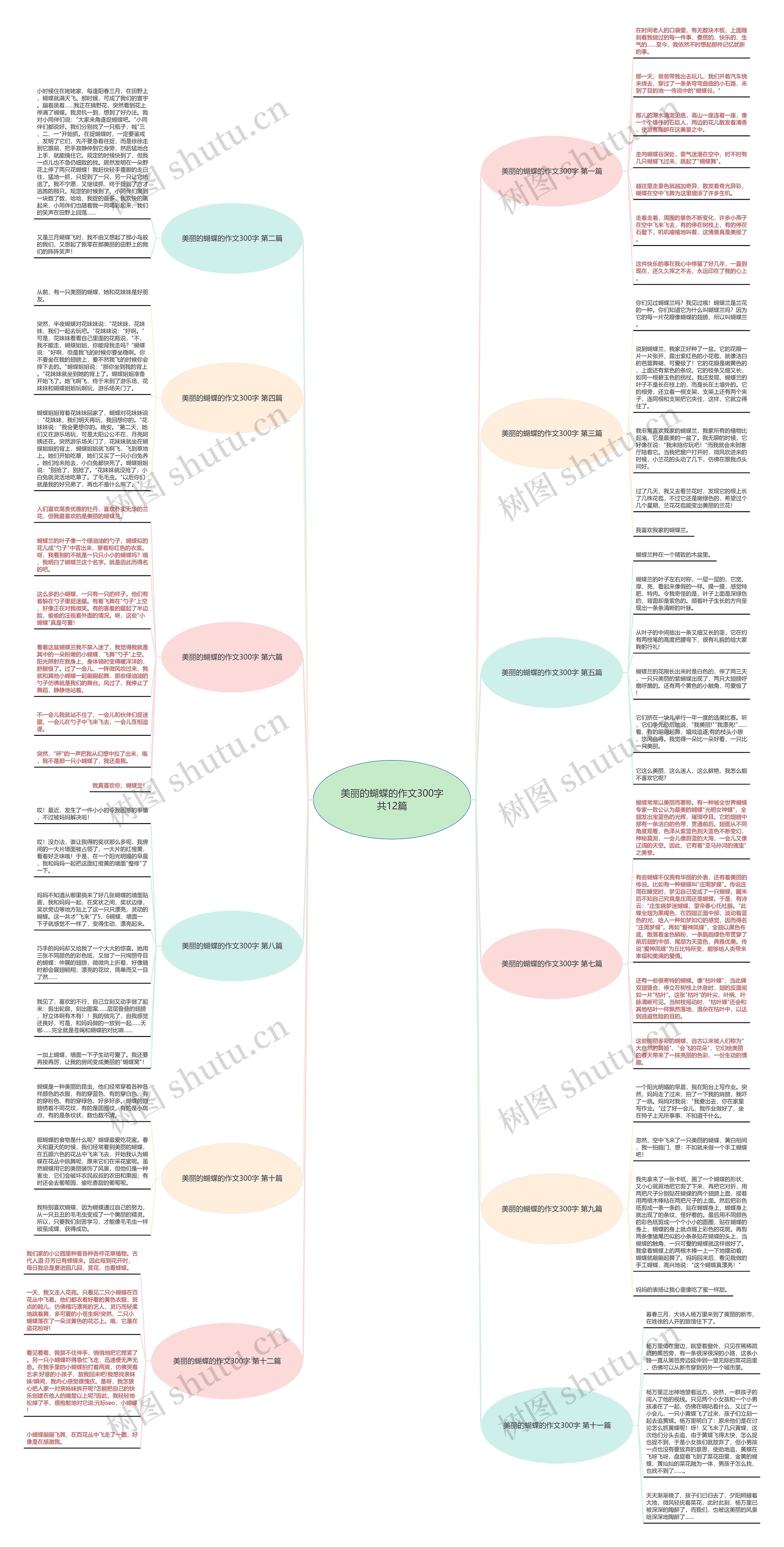 美丽的蝴蝶的作文300字共12篇思维导图