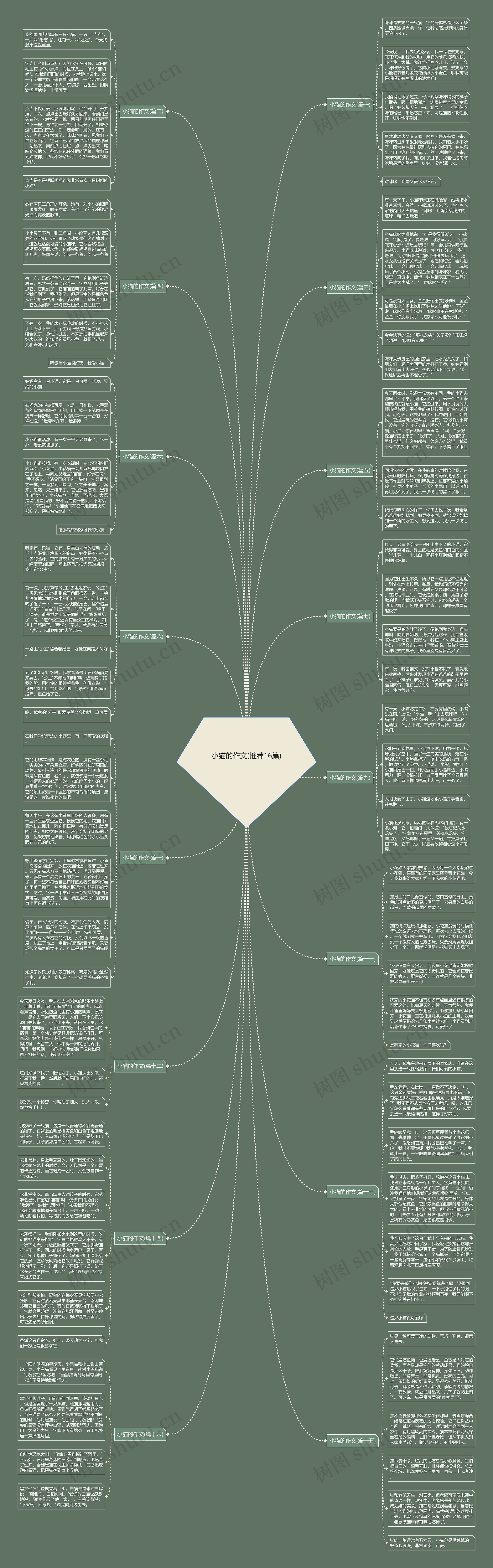 小猫的作文(推荐16篇)思维导图