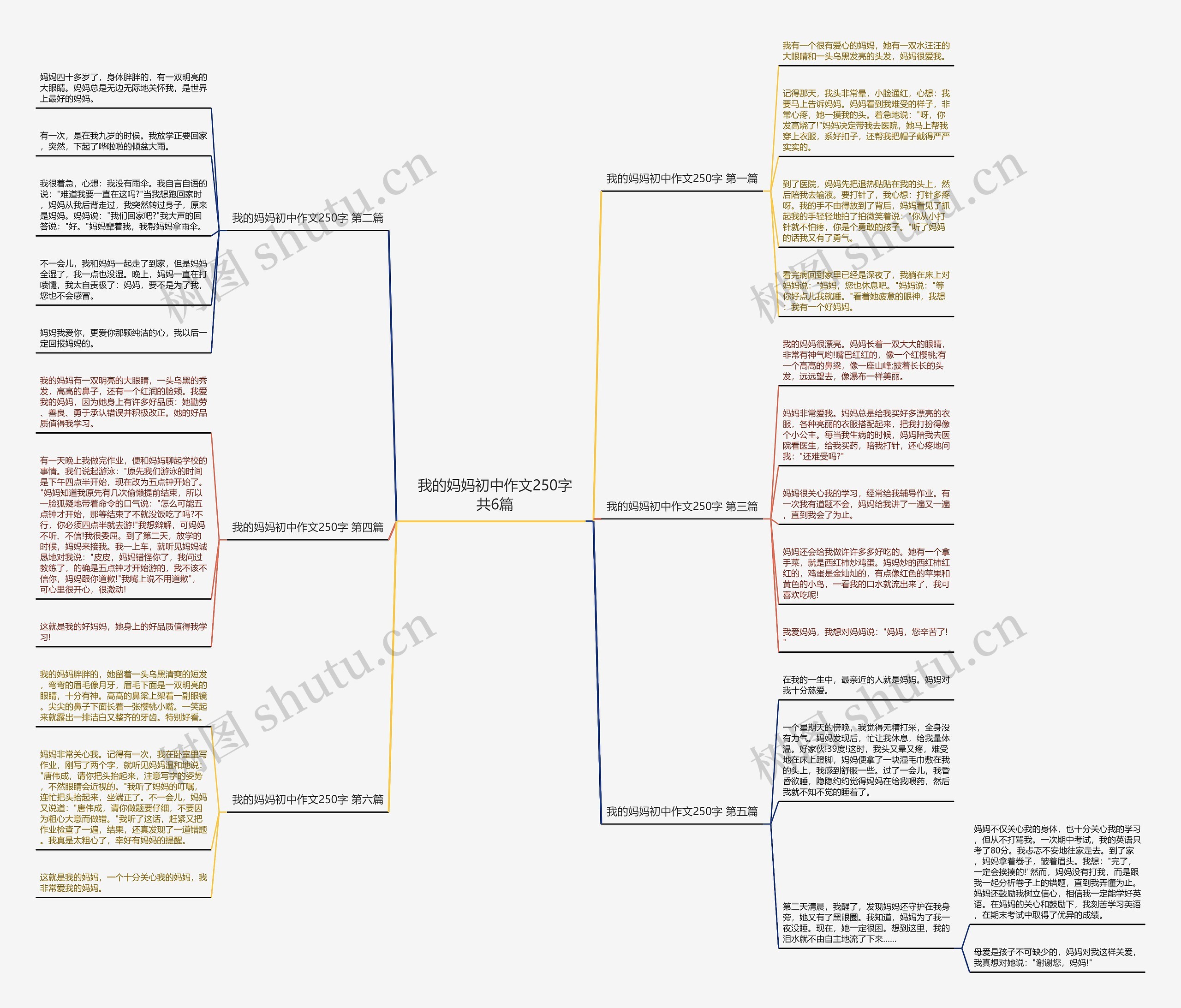 我的妈妈初中作文250字共6篇思维导图