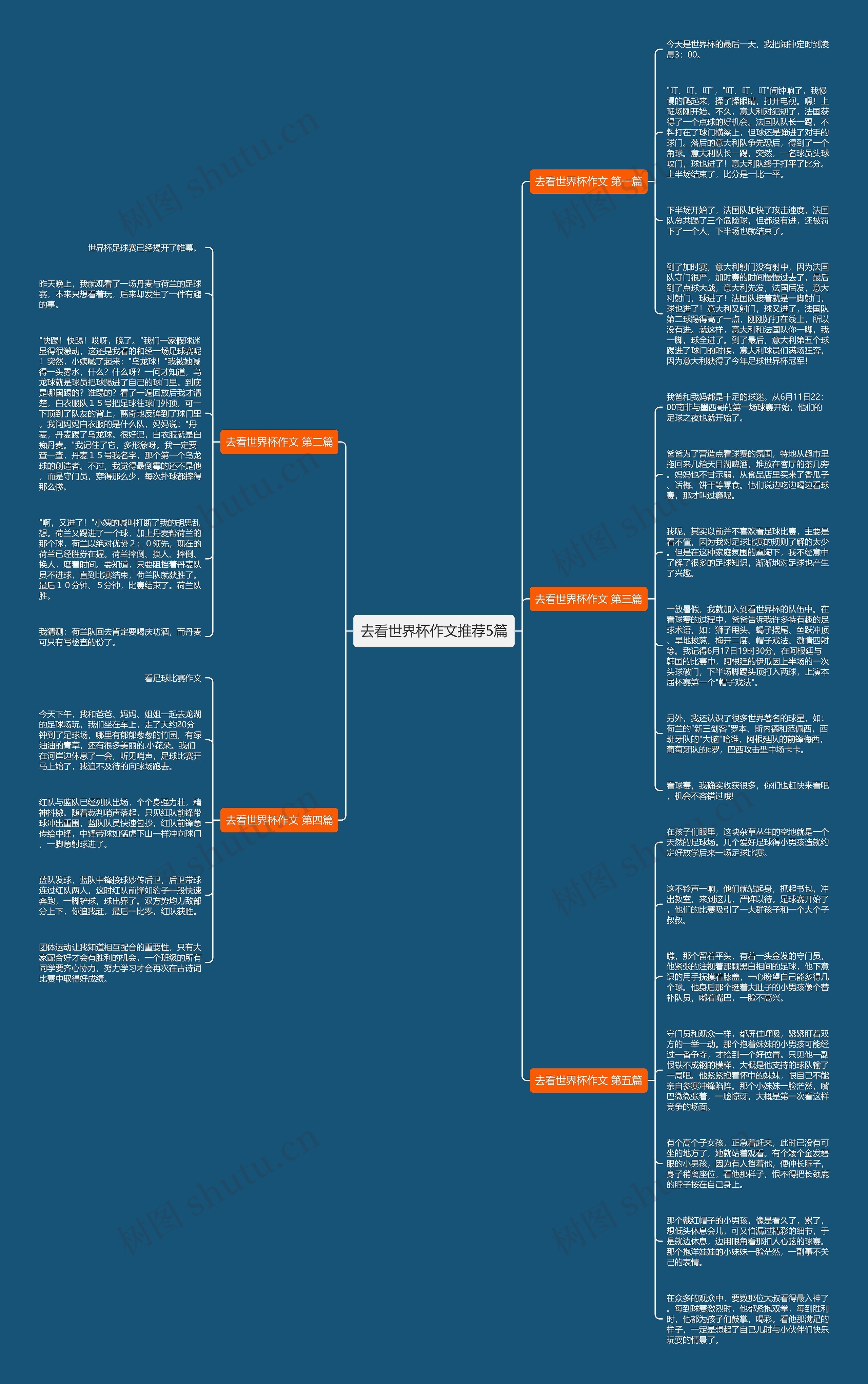 去看世界杯作文推荐5篇