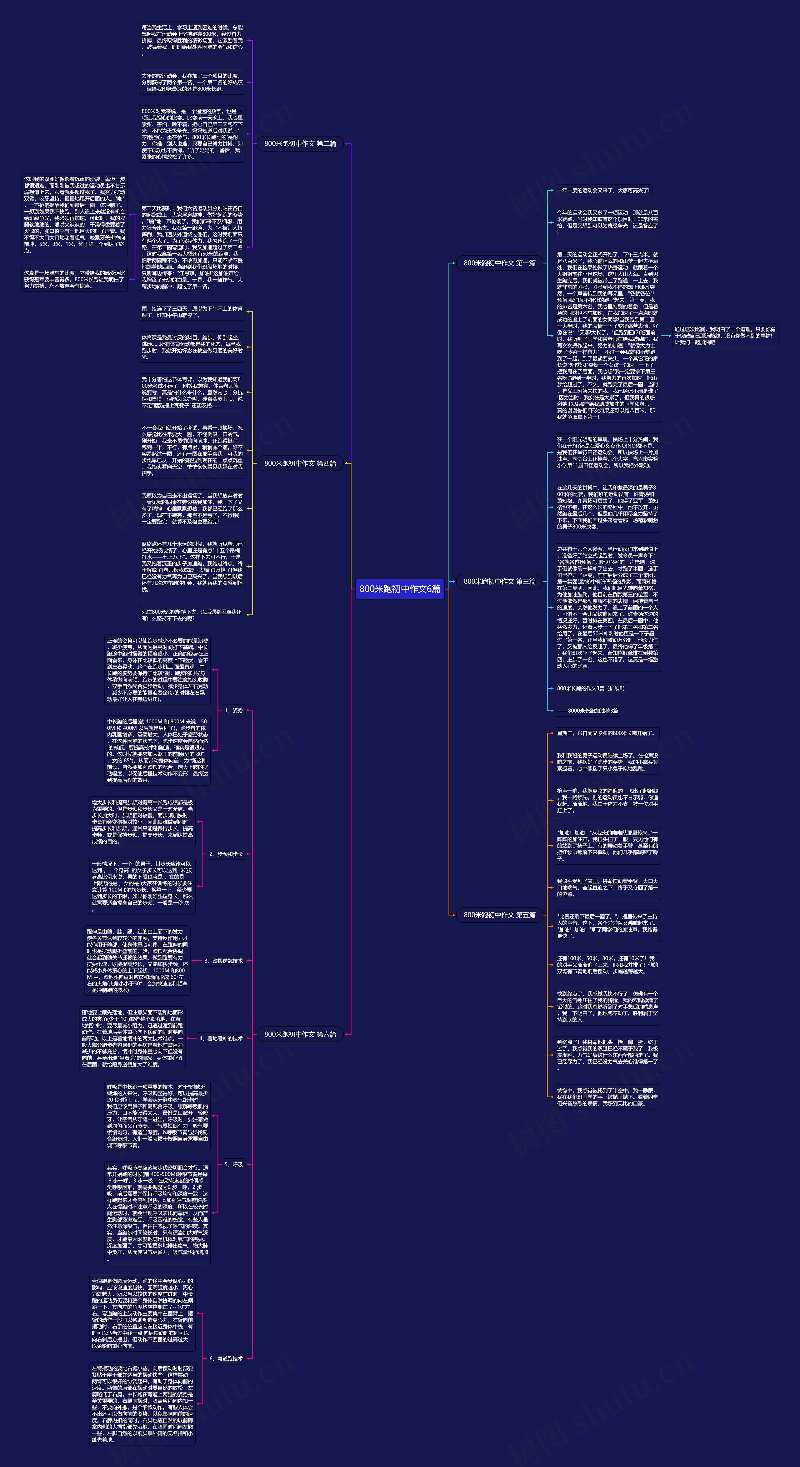 800米跑初中作文6篇