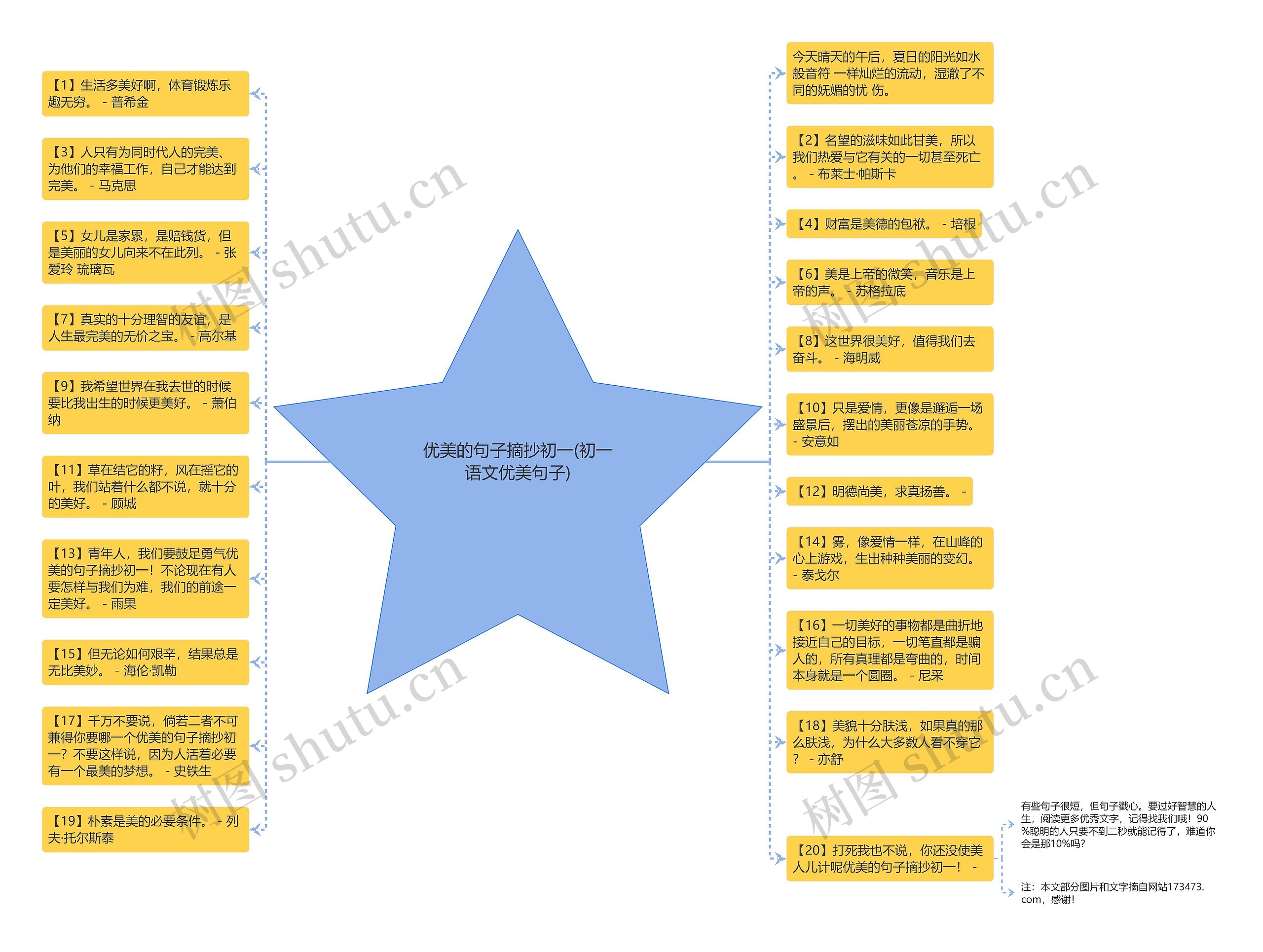 优美的句子摘抄初一(初一语文优美句子)思维导图