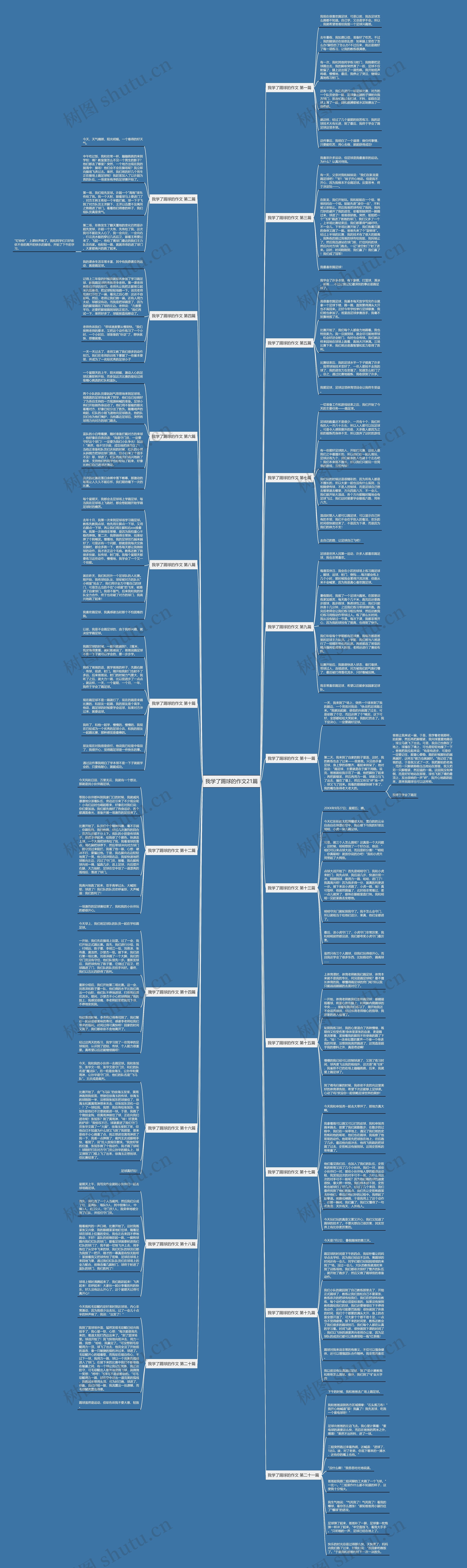 我学了踢球的作文21篇 我学了踢球的作文21篇