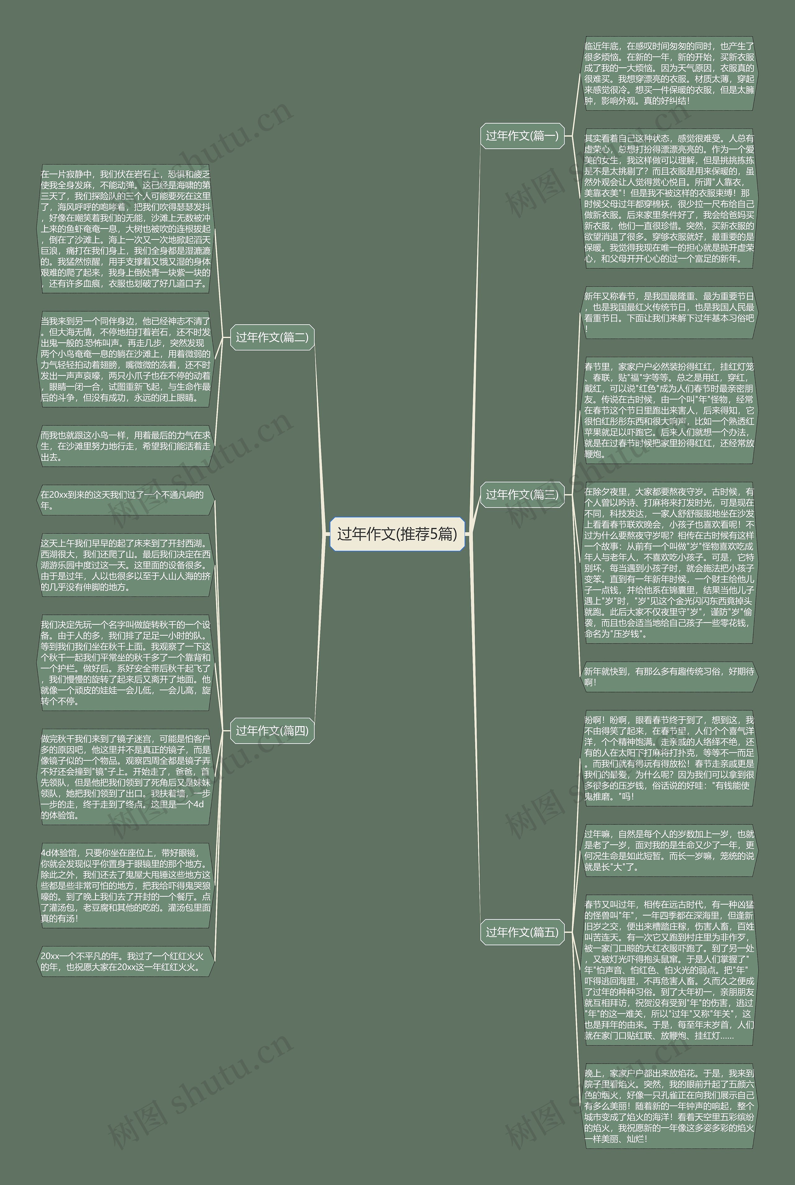 过年作文(推荐5篇) 过年作文(推荐5篇)