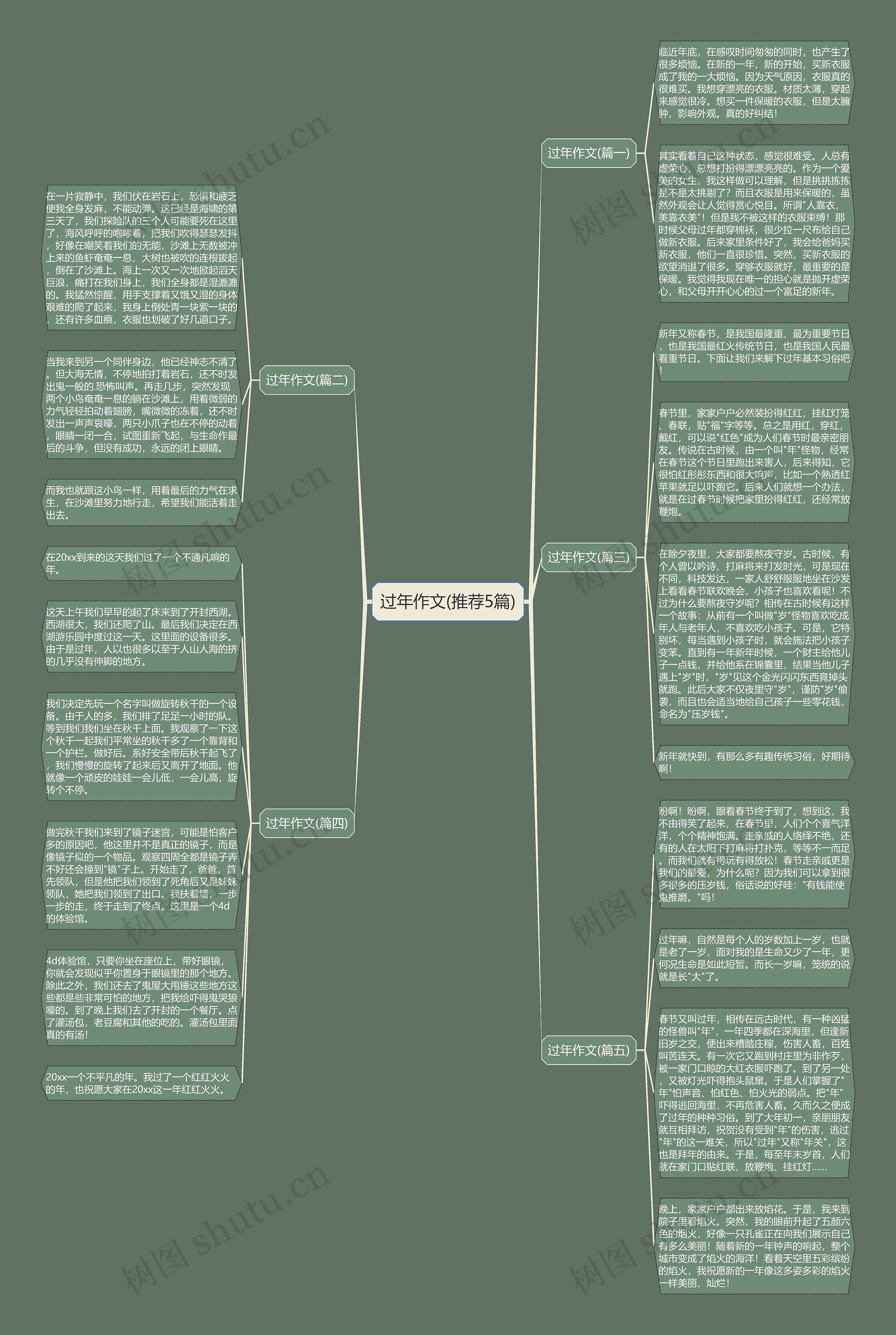 过年作文(推荐5篇)思维导图