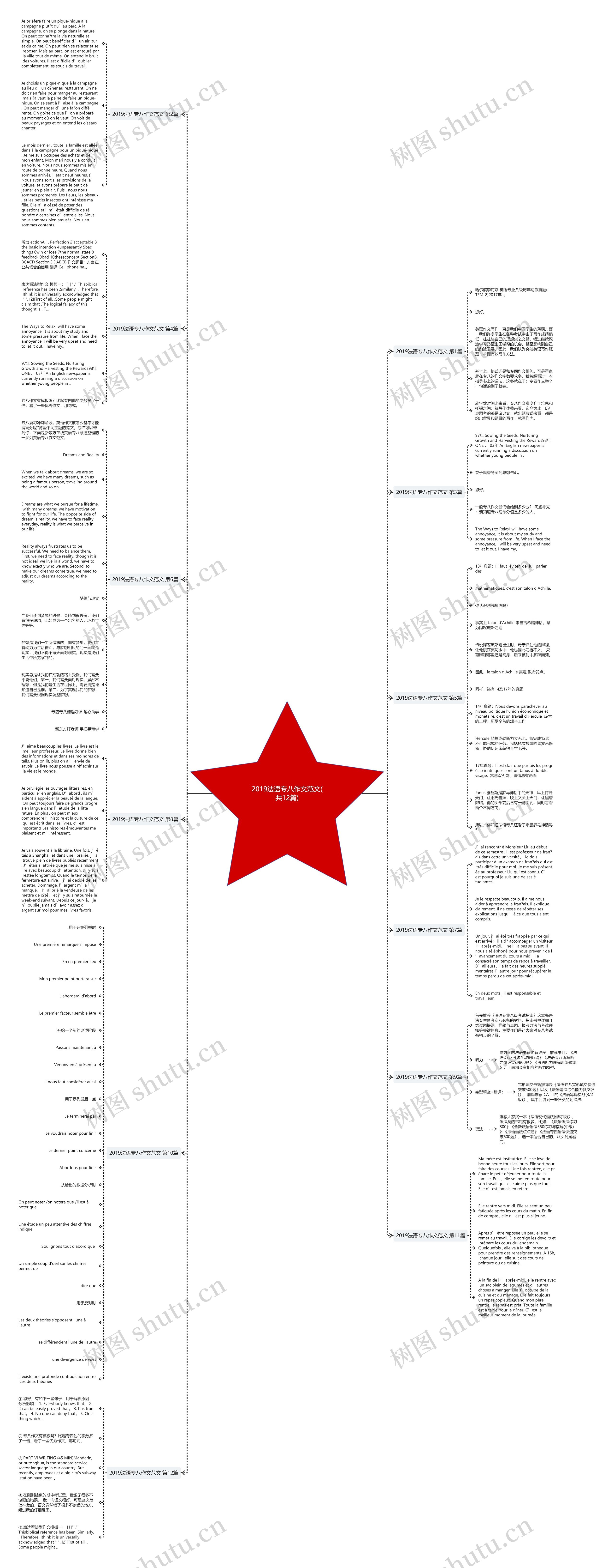 2019法语专八作文范文(共12篇)思维导图