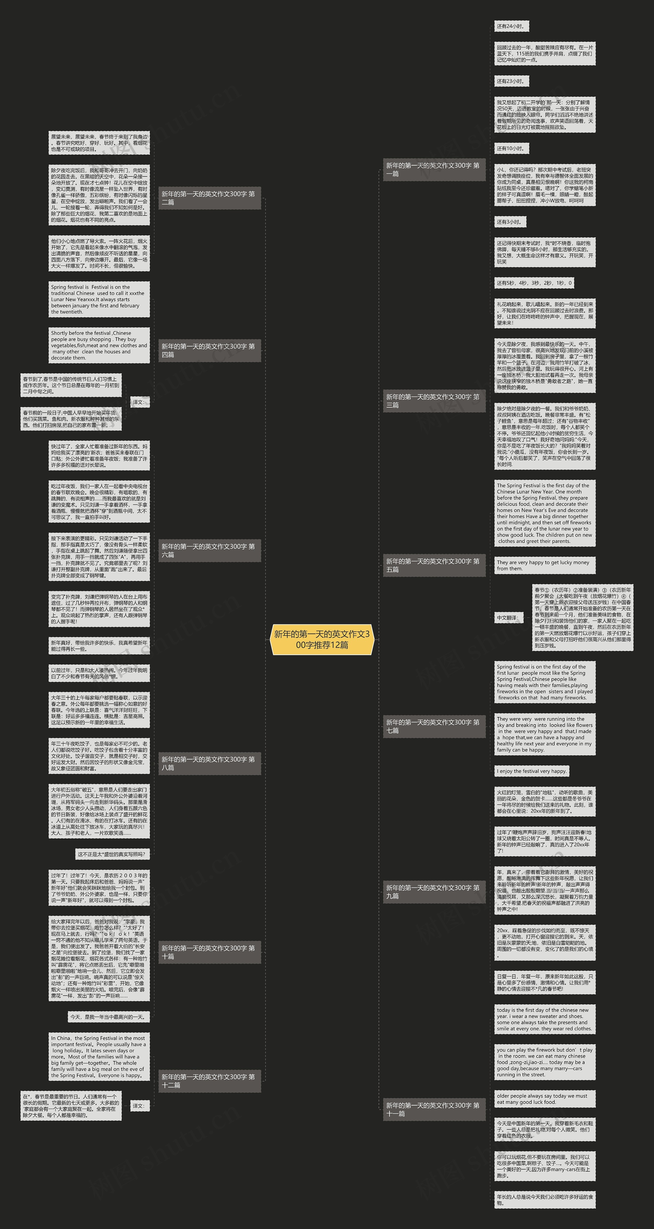 新年的第一天的英文作文300字推荐12篇思维导图