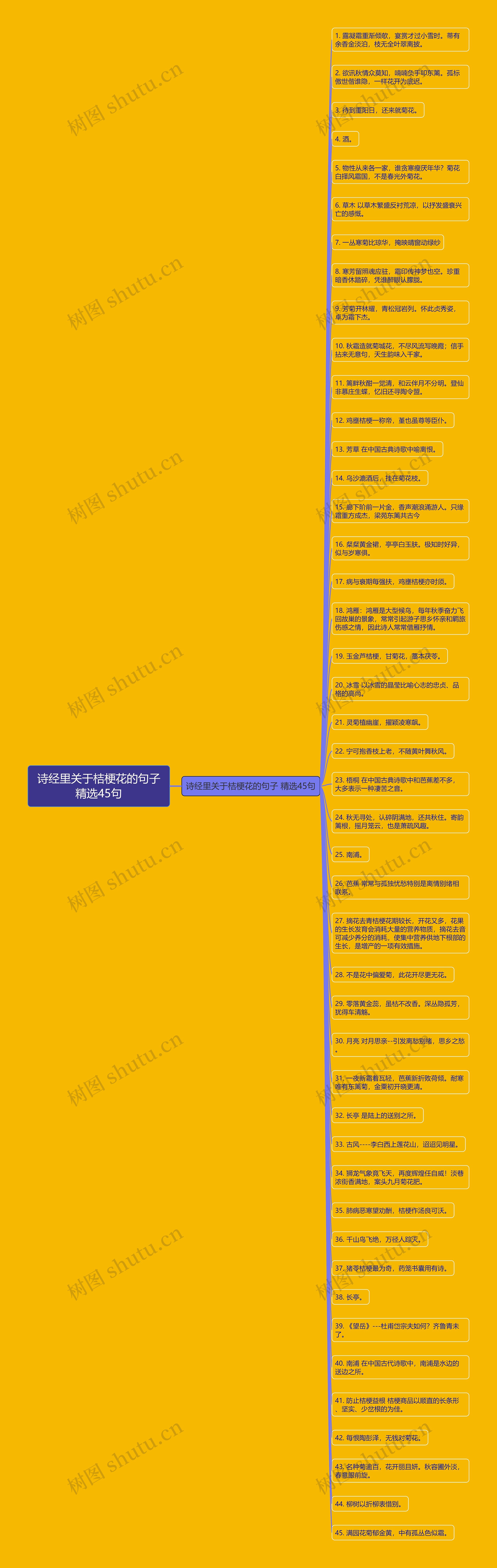 诗经里关于桔梗花的句子精选45句思维导图