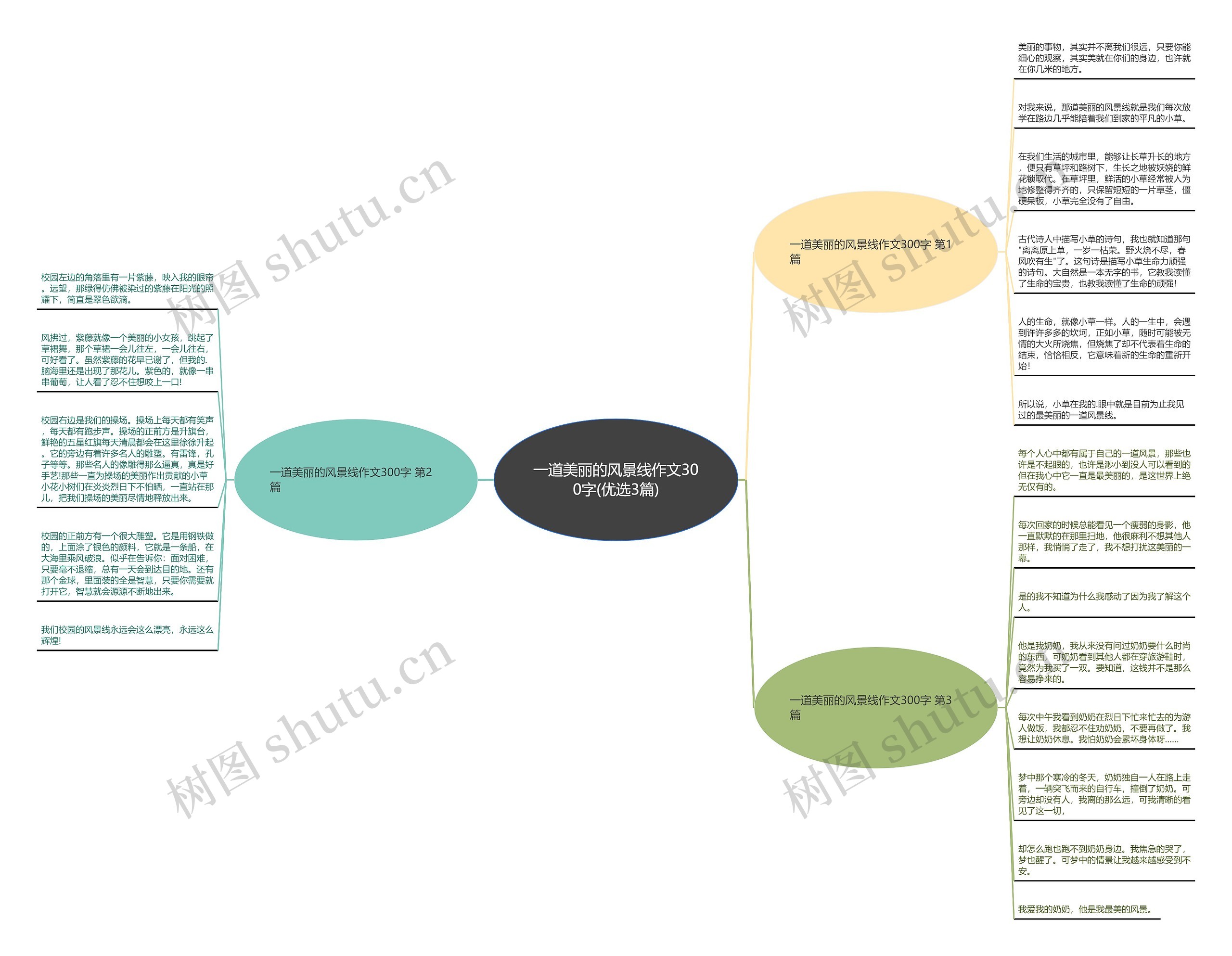 一道美丽的风景线作文300字(优选3篇)思维导图