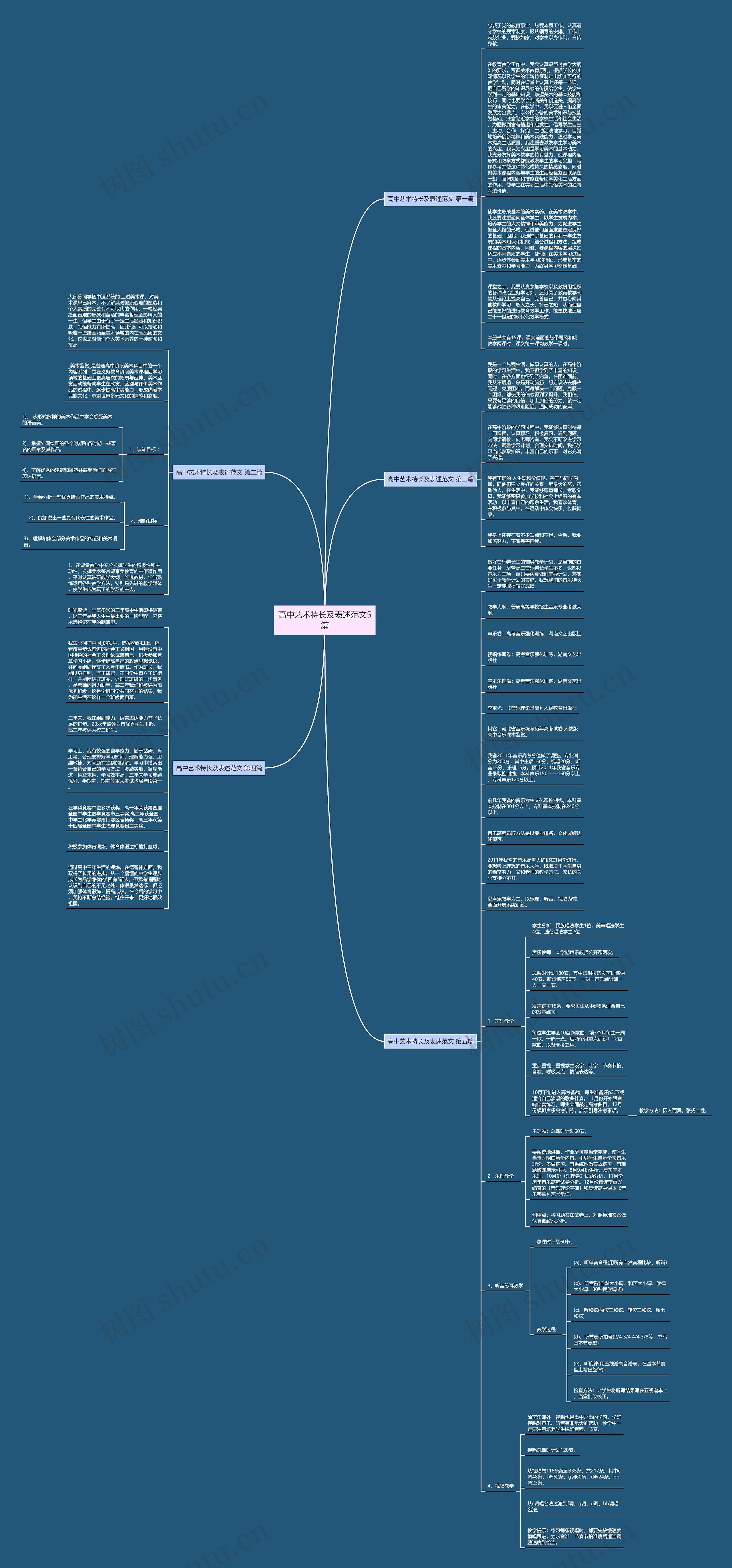 高中艺术特长及表述范文5篇思维导图