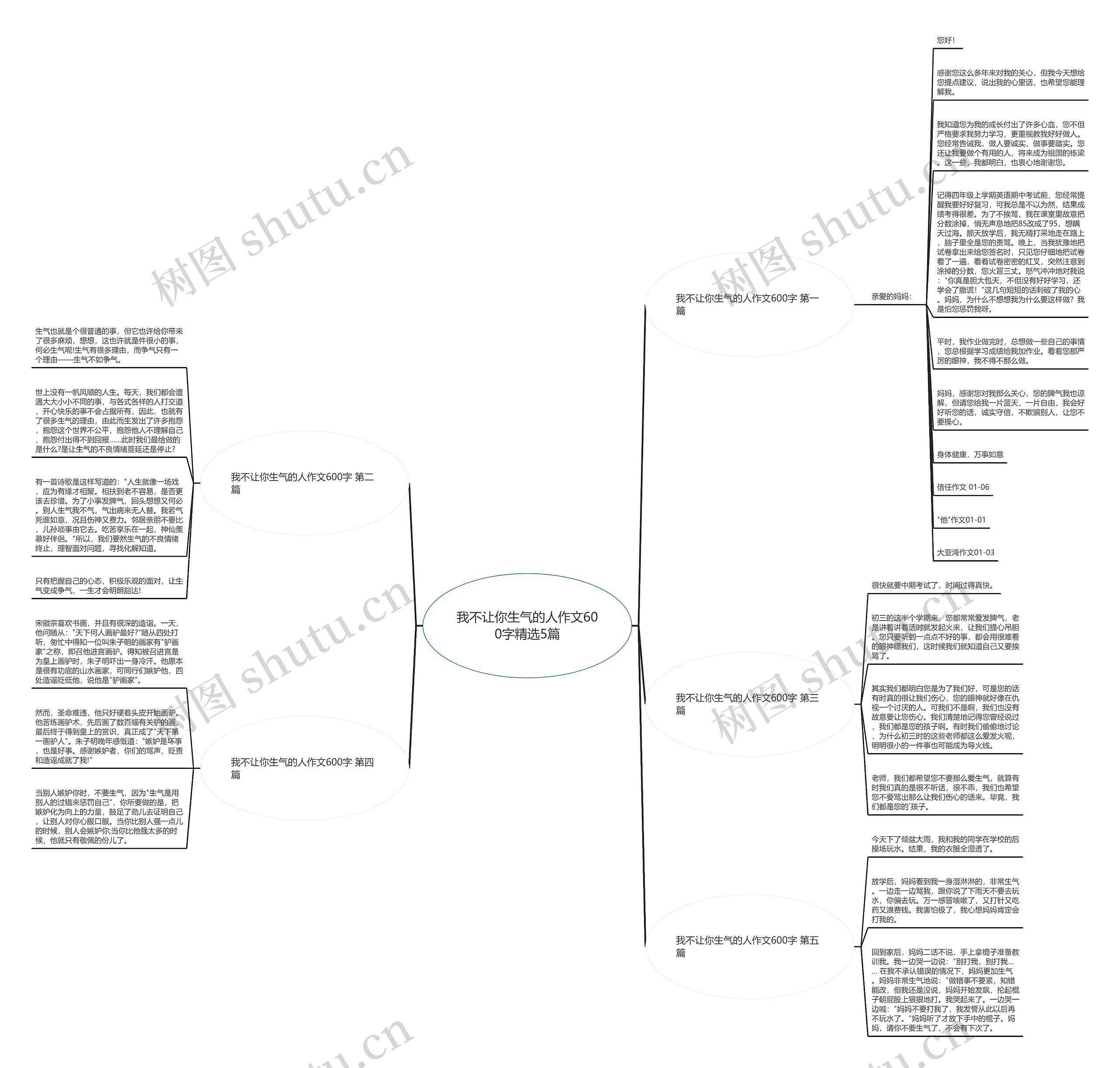 我不让你生气的人作文600字精选5篇思维导图
