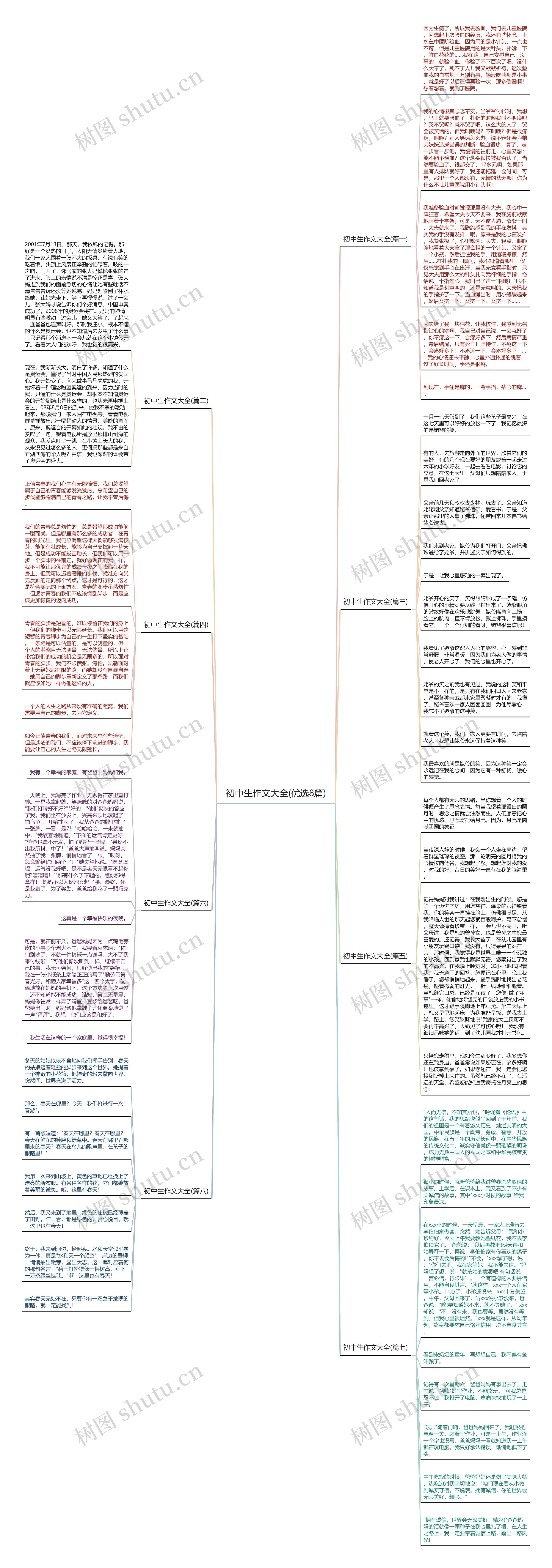 初中生作文大全(优选8篇)思维导图