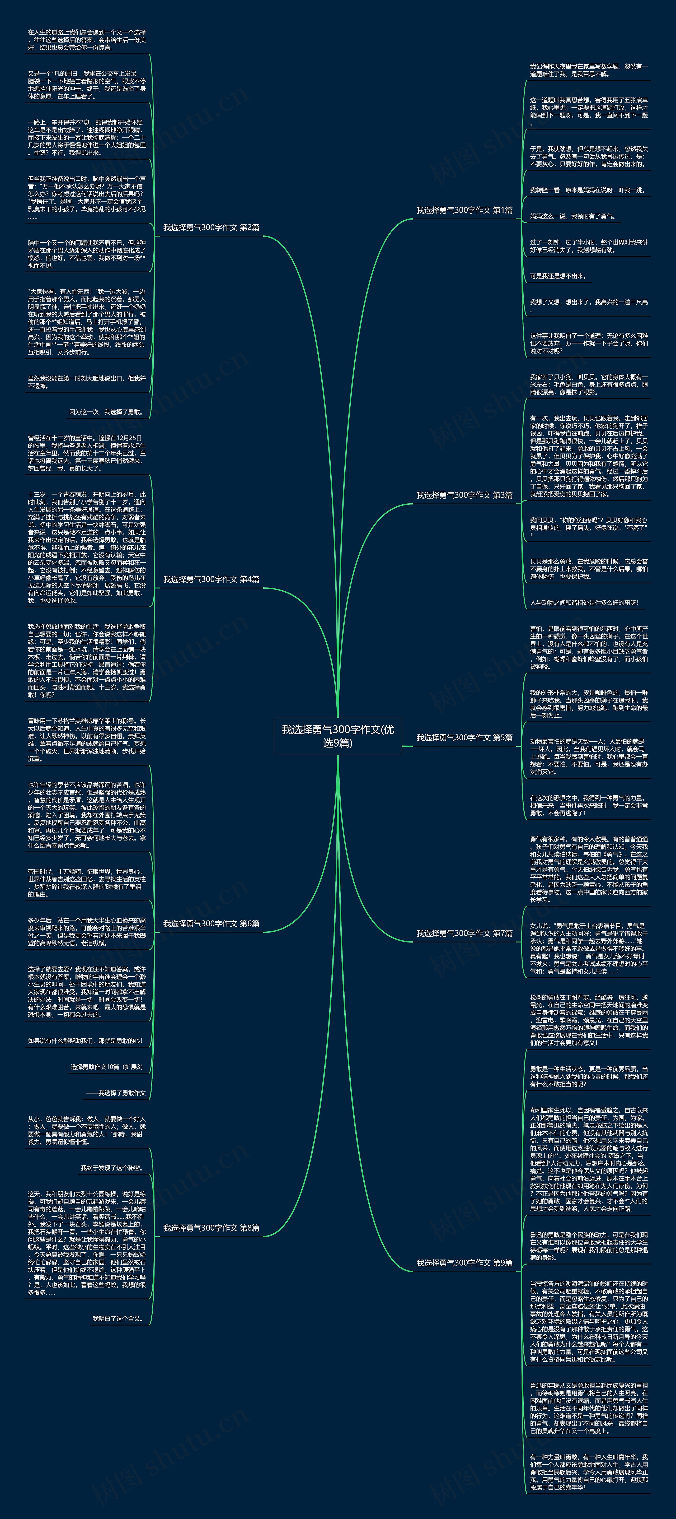 我选择勇气300字作文(优选9篇)思维导图