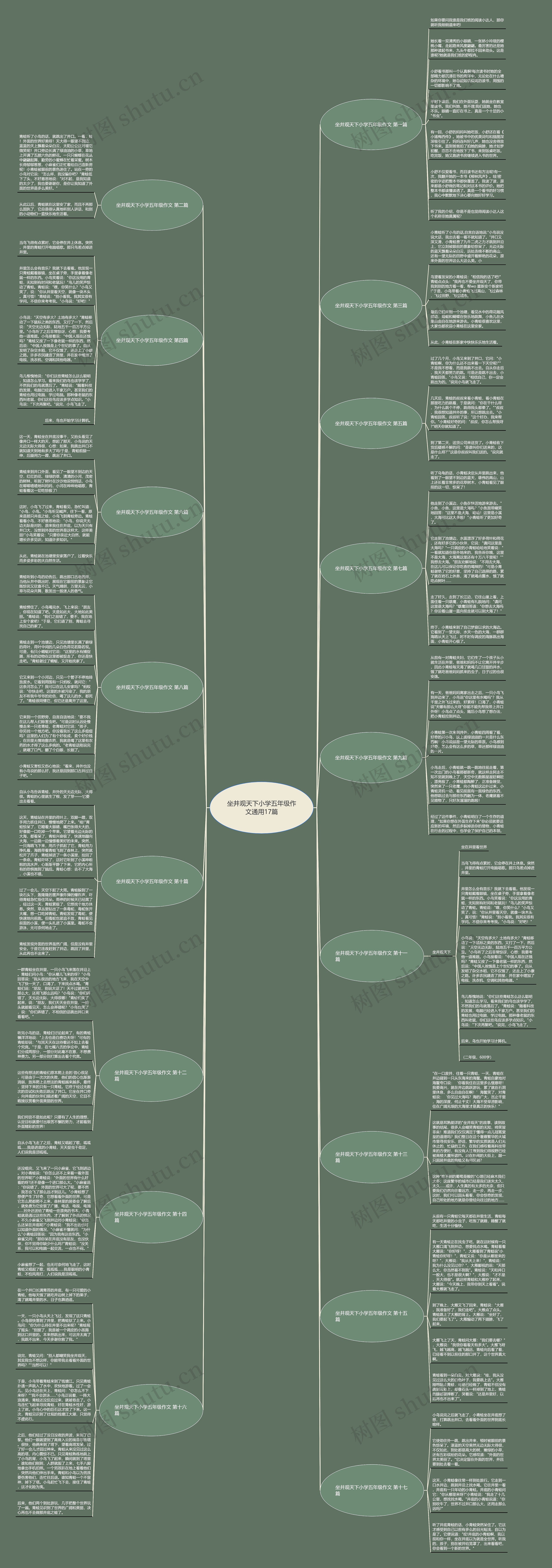 坐井观天下小学五年级作文通用17篇思维导图