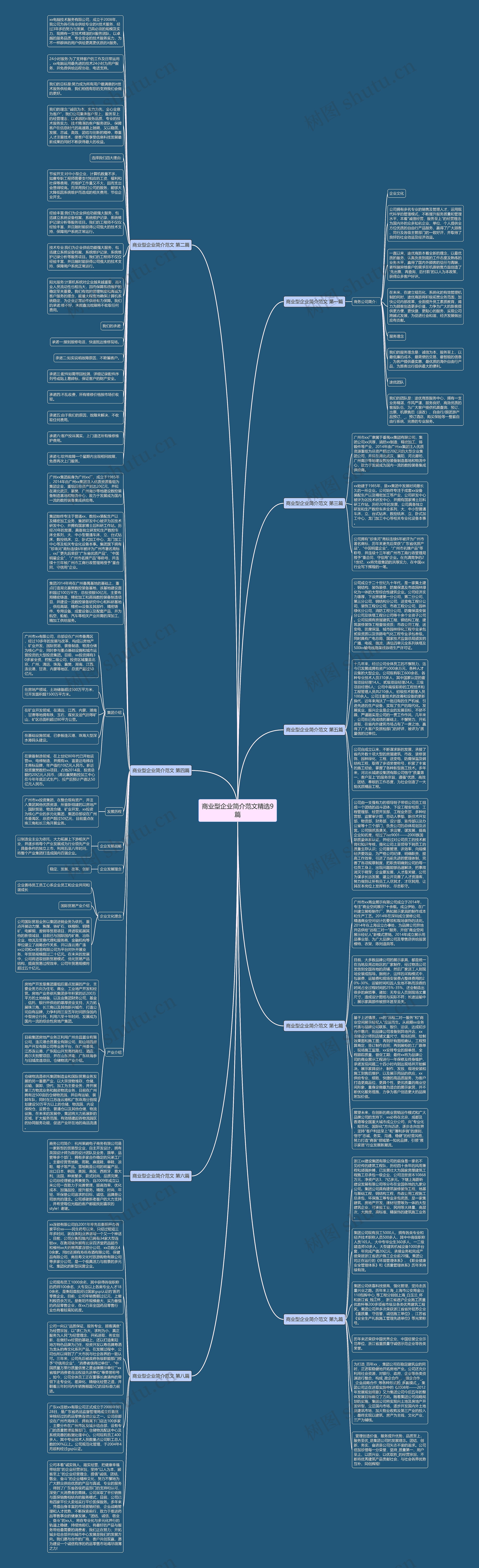 商业型企业简介范文精选9篇思维导图