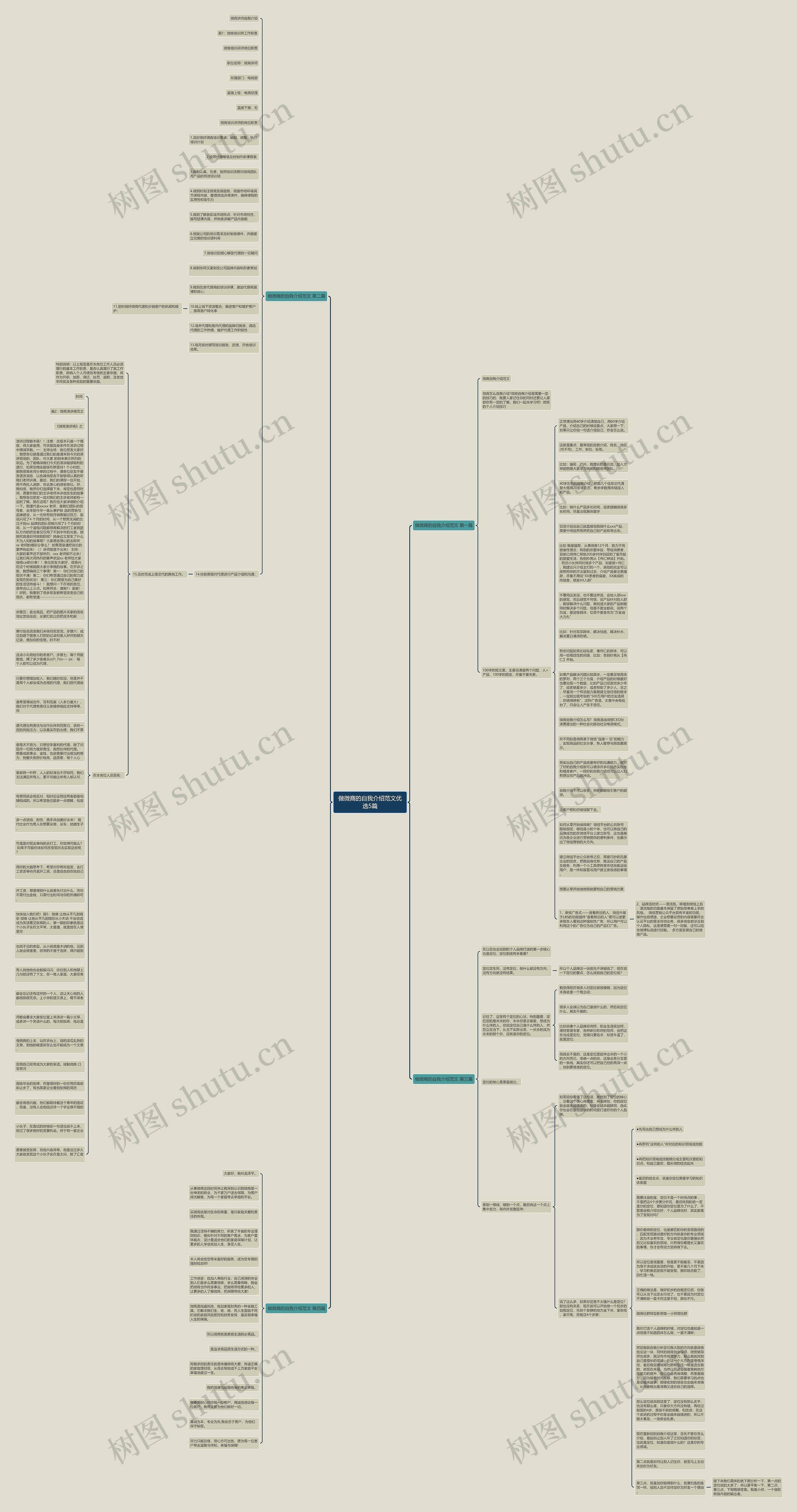 做微商的自我介绍范文优选5篇思维导图