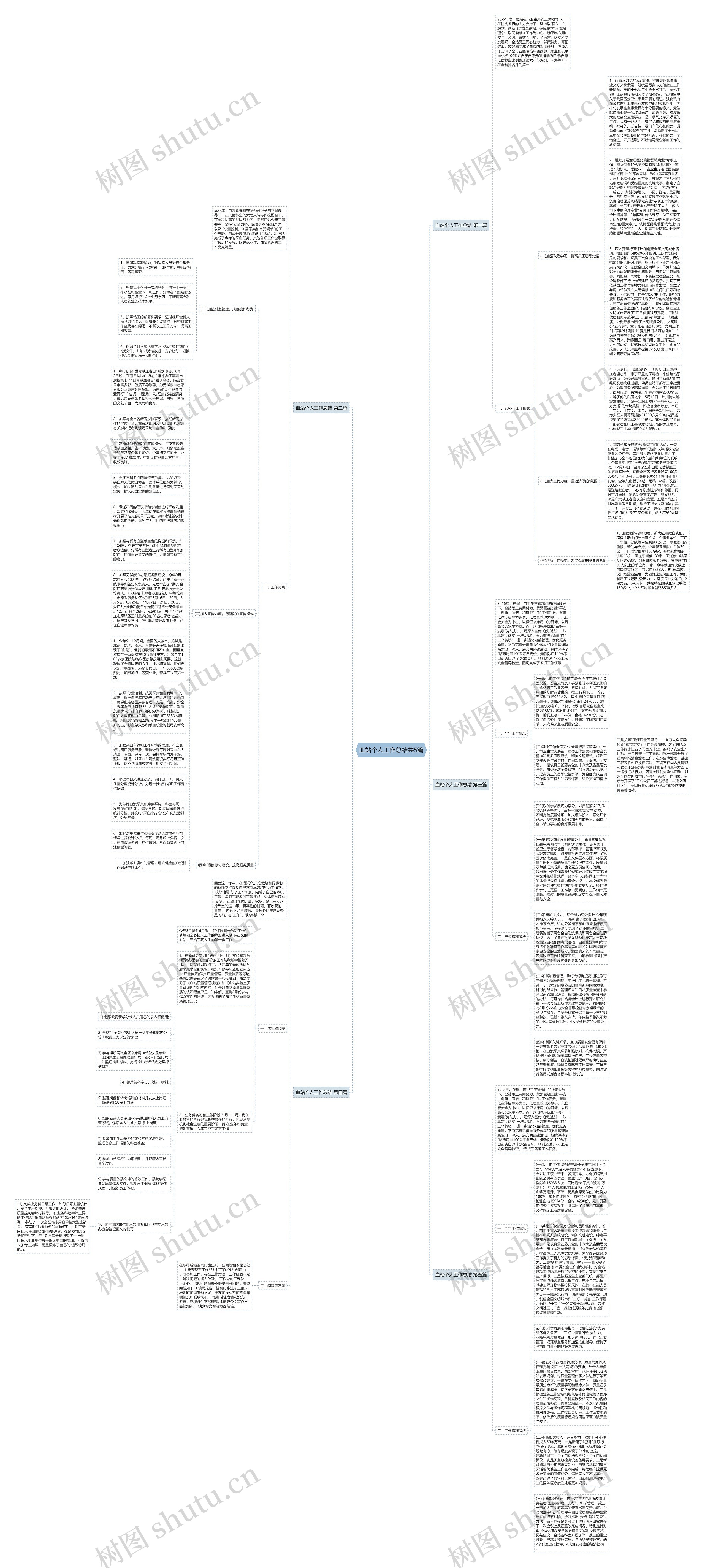血站个人工作总结共5篇思维导图