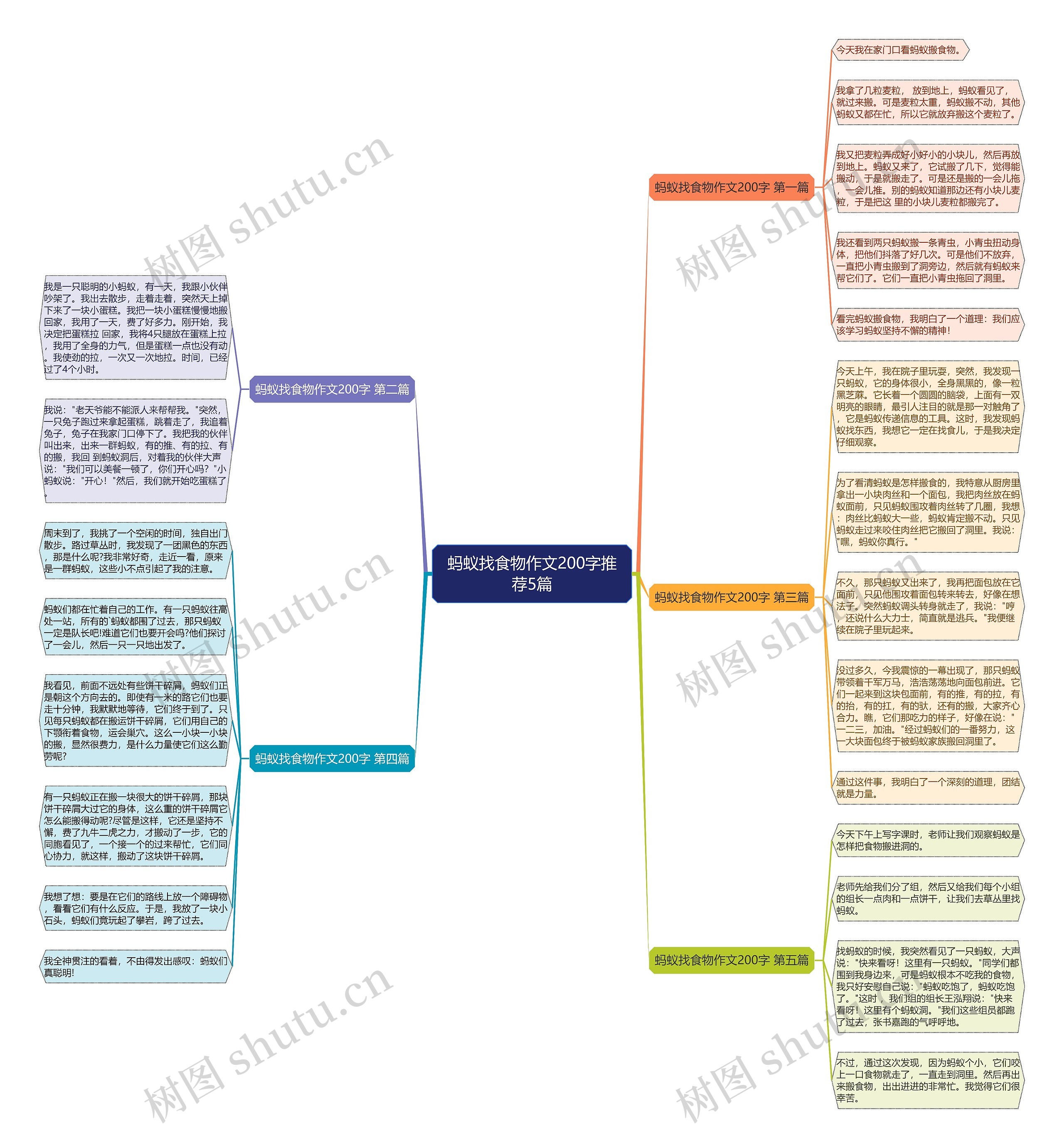蚂蚁找食物作文200字推荐5篇思维导图