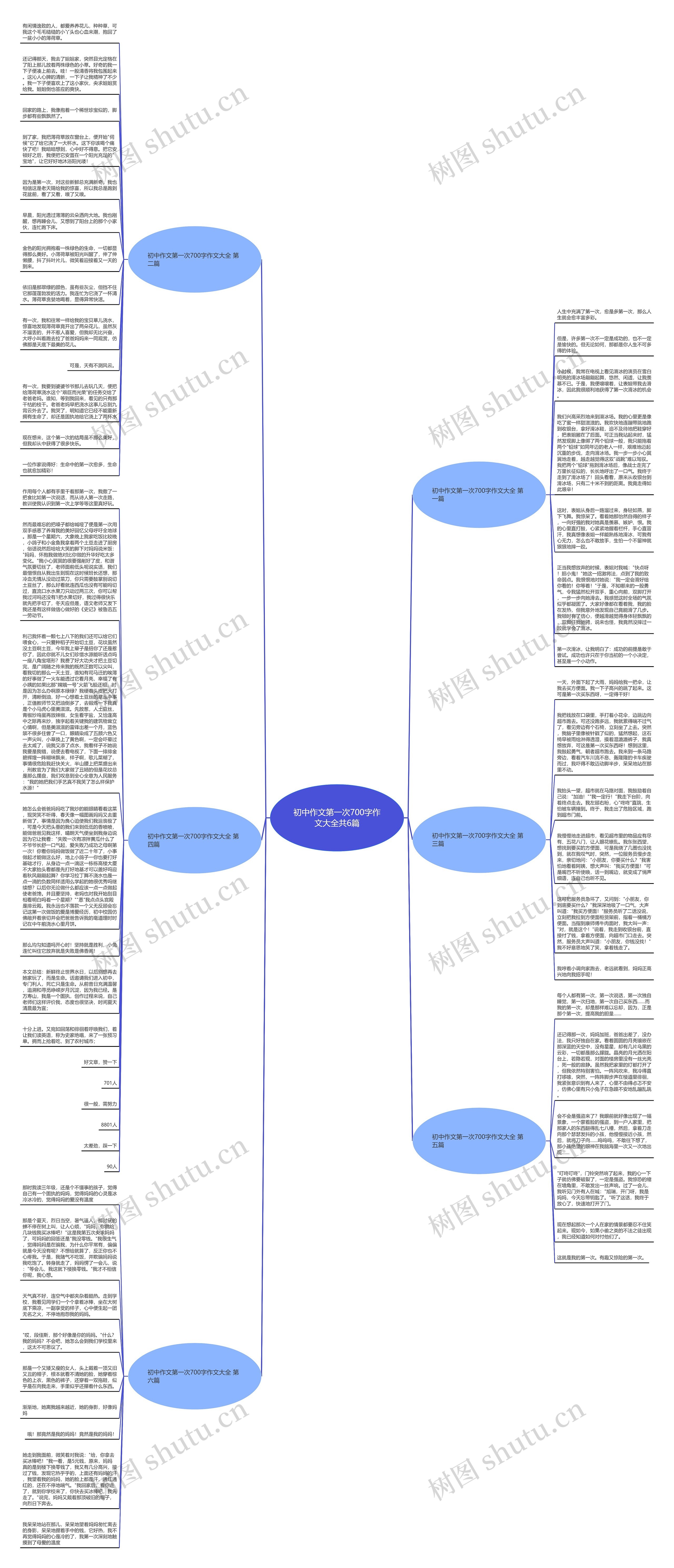 初中作文第一次700字作文大全共6篇思维导图