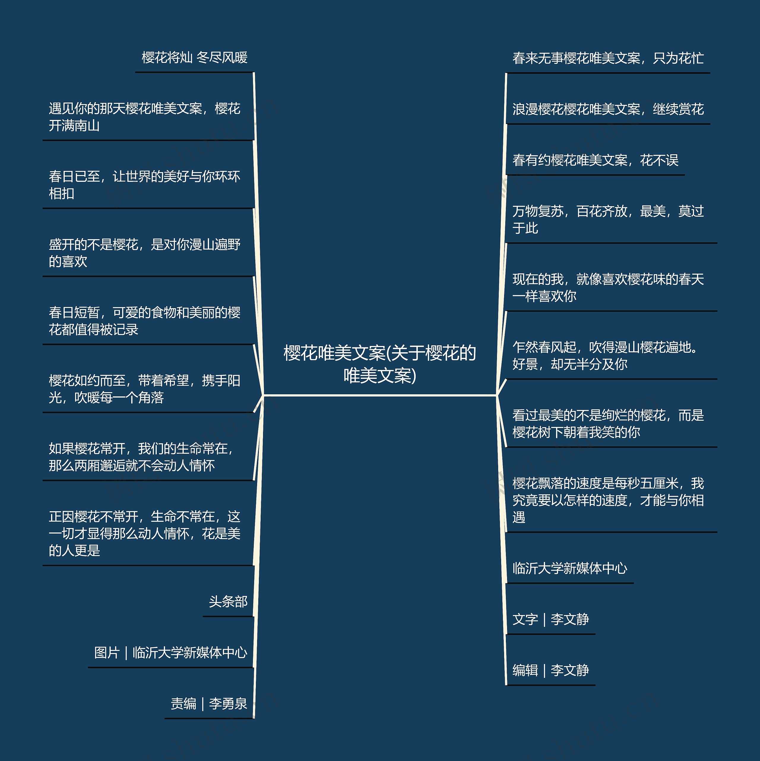 樱花唯美文案(关于樱花的唯美文案)思维导图