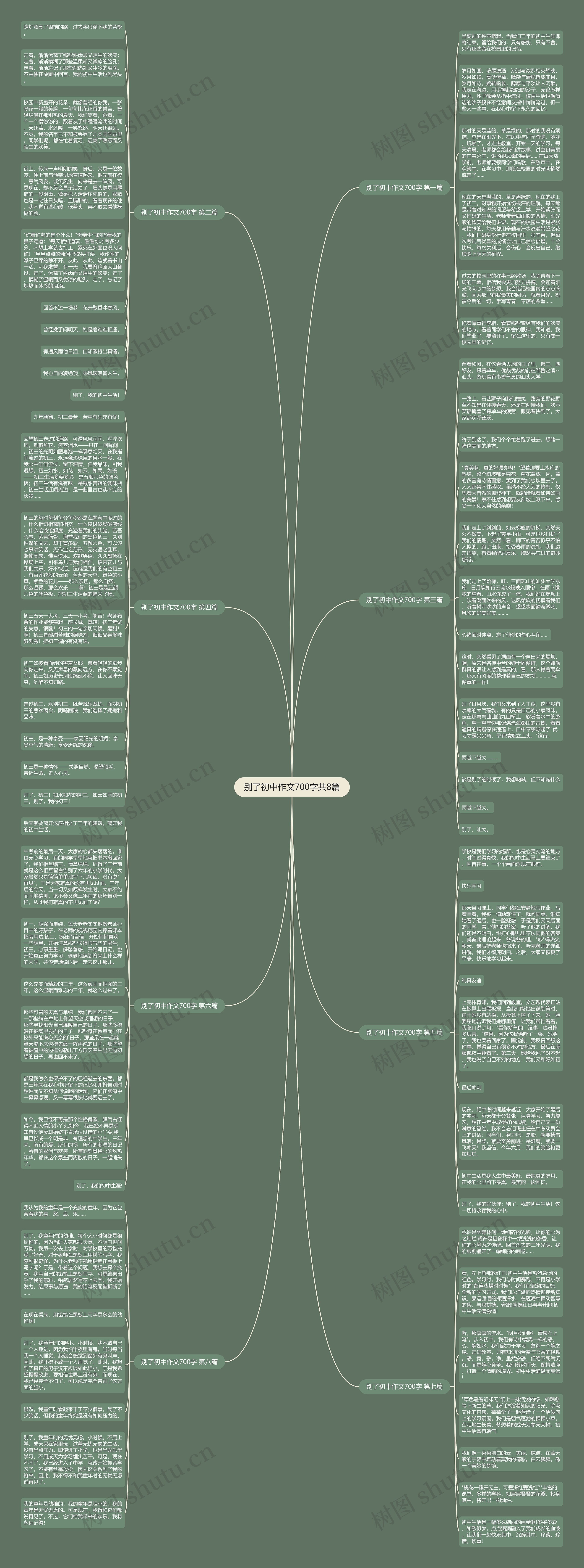 别了初中作文700字共8篇思维导图