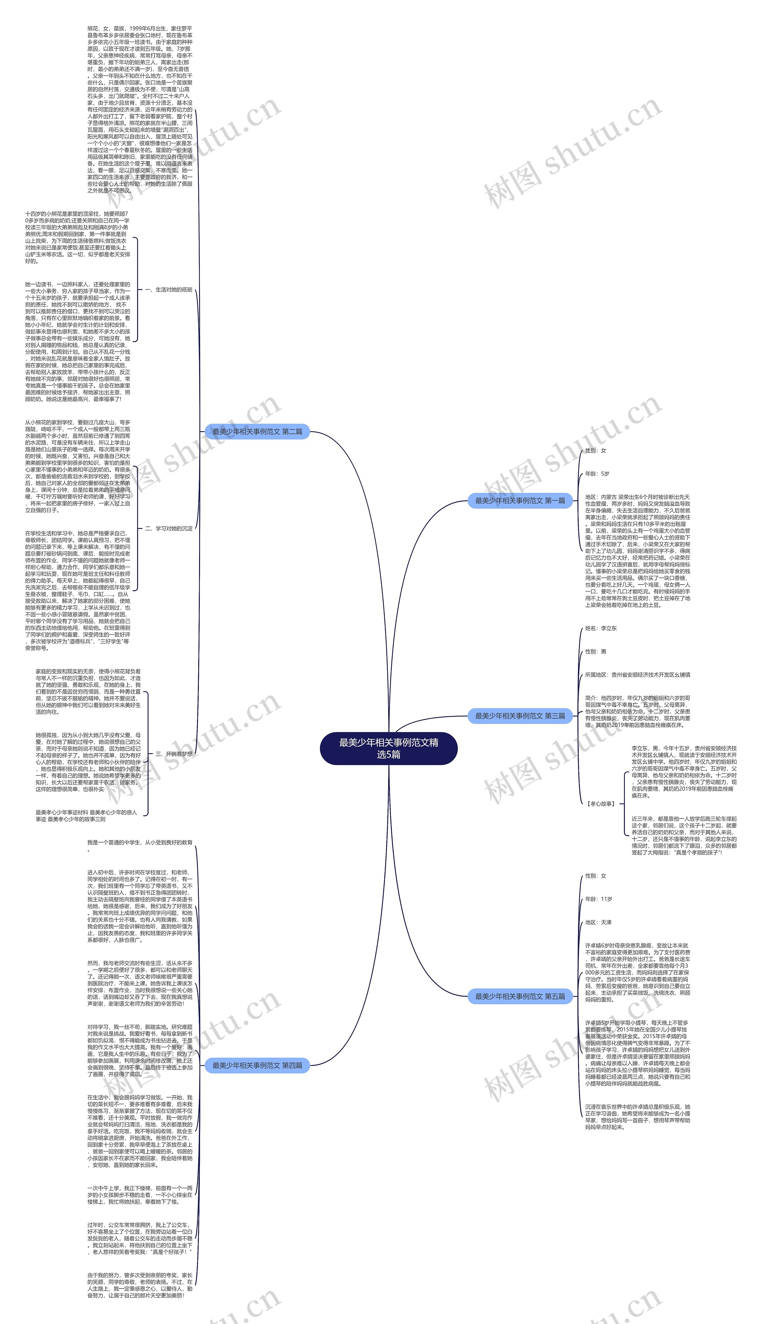 最美少年相关事例范文精选5篇思维导图