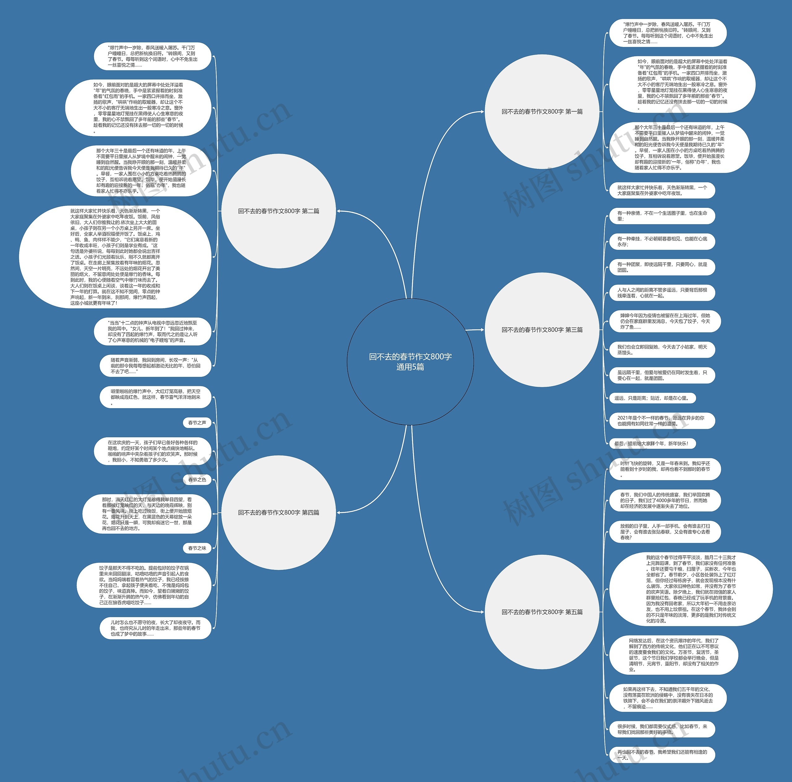 回不去的春节作文800字通用5篇思维导图