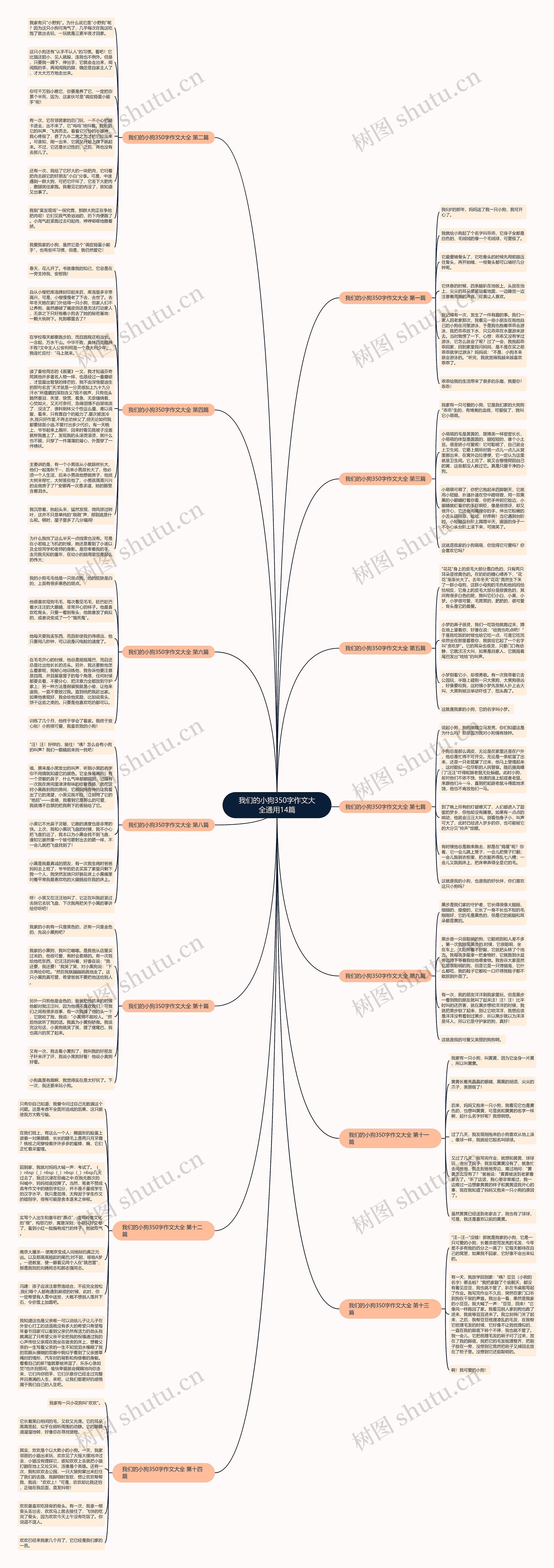 我们的小狗350字作文大全通用14篇思维导图