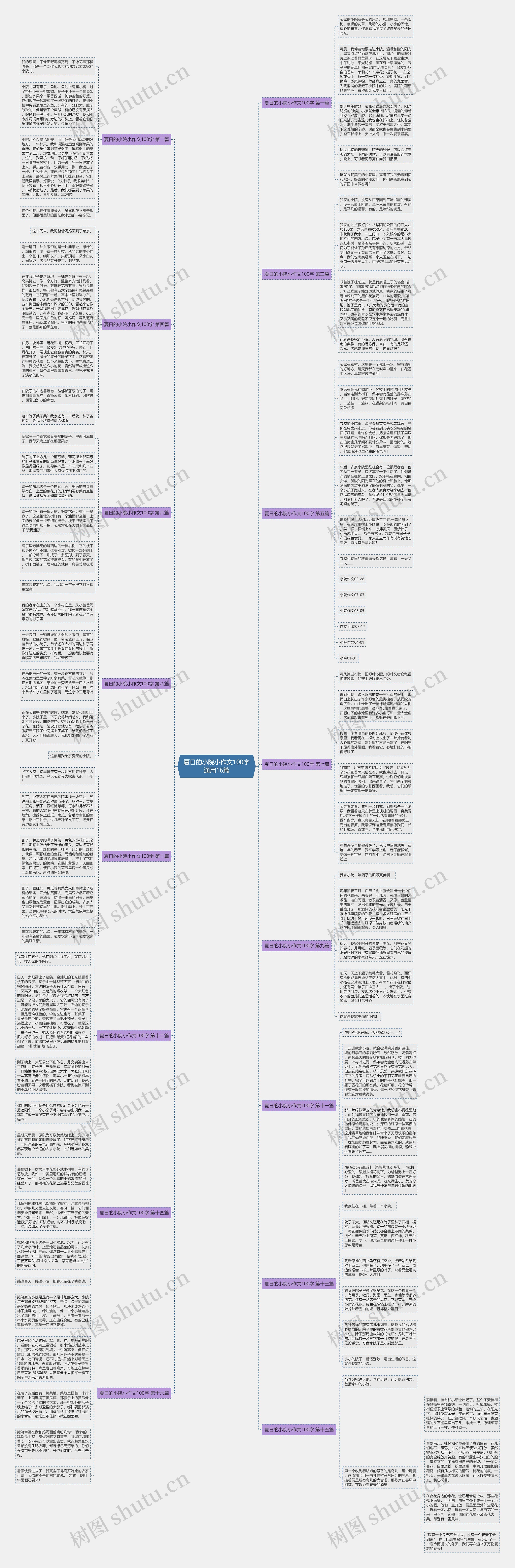 夏日的小院小作文100字通用16篇思维导图