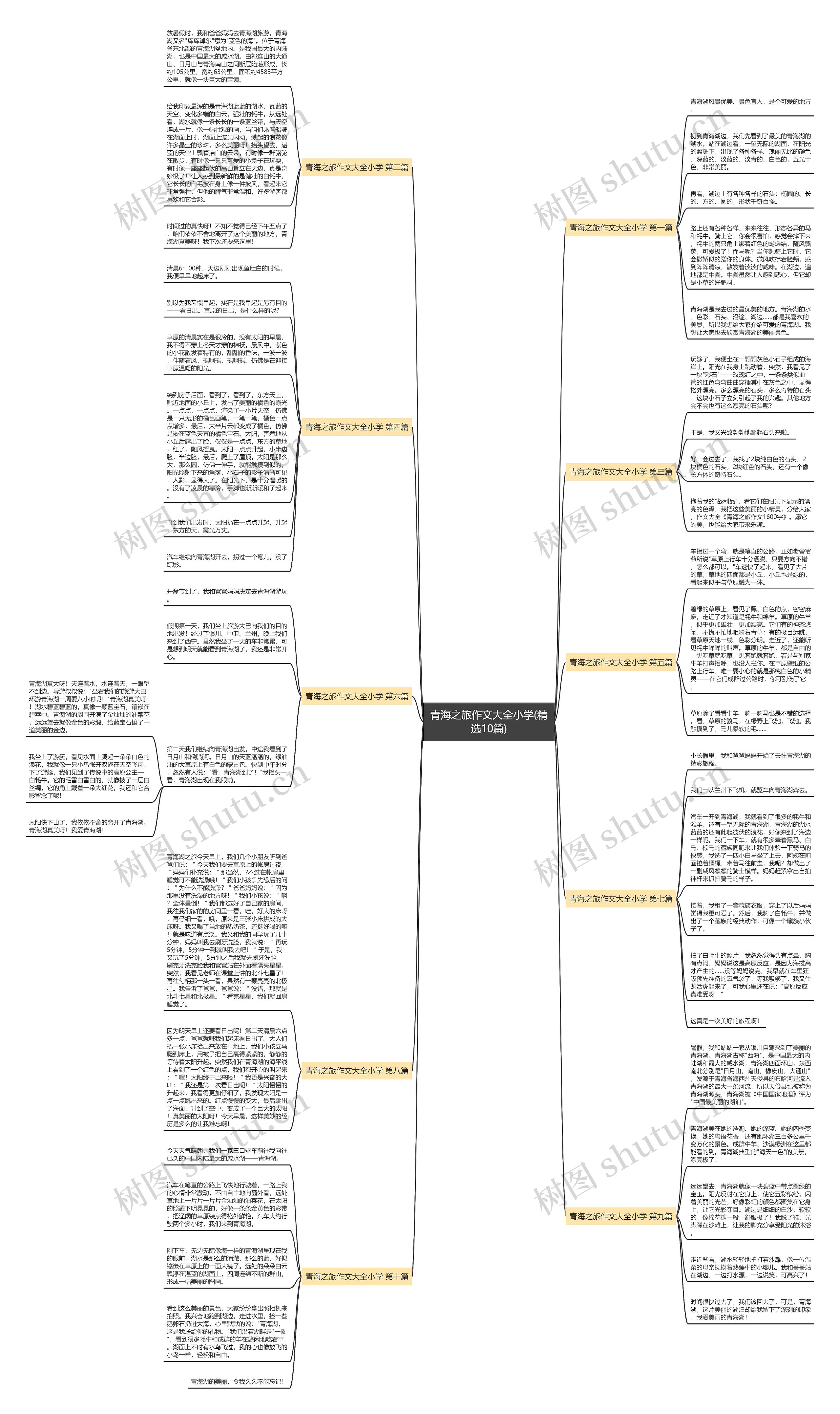 青海之旅作文大全小学(精选10篇) 青海之旅作文大全小学(精选10篇)