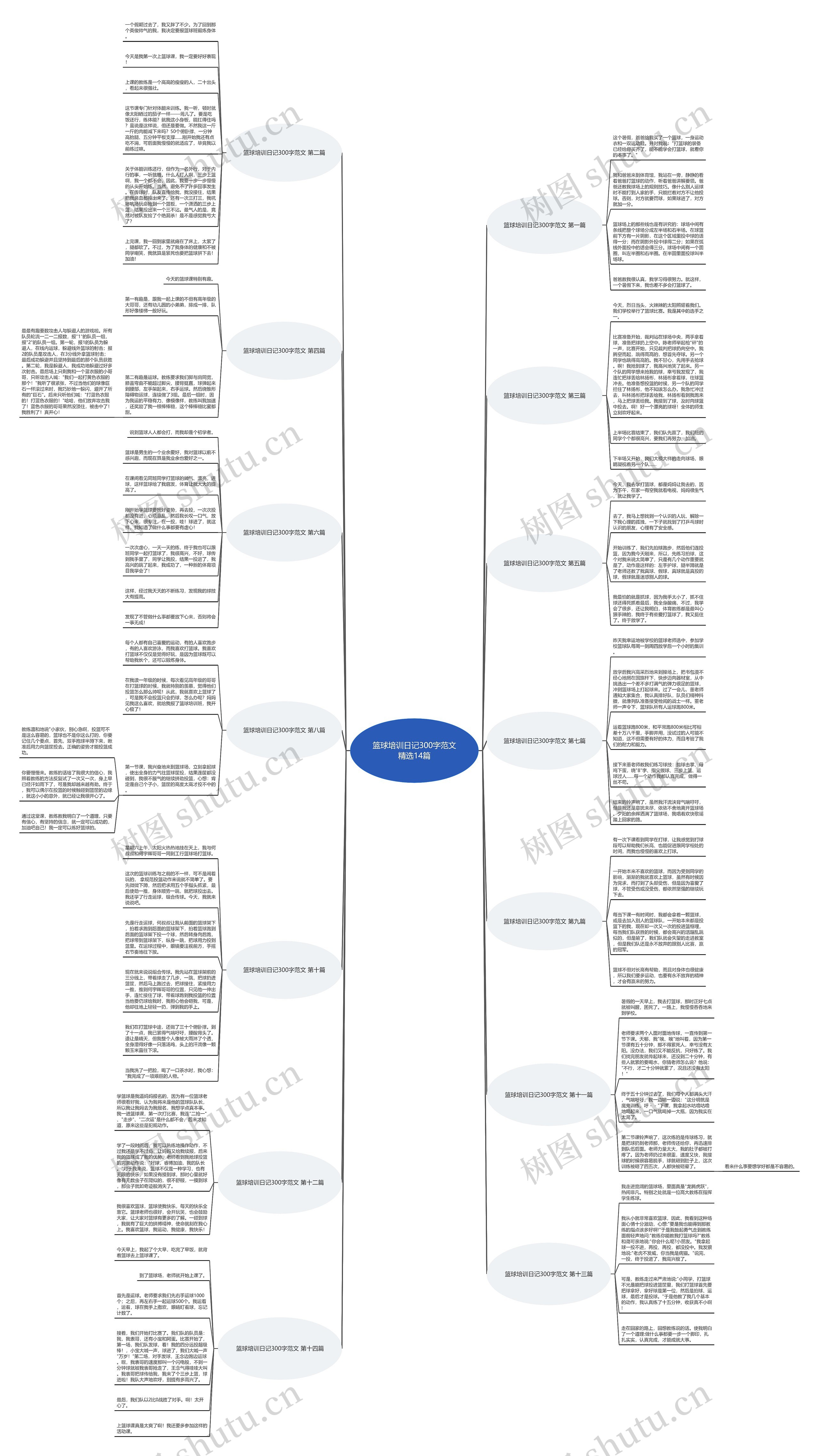 篮球培训日记300字范文精选14篇思维导图