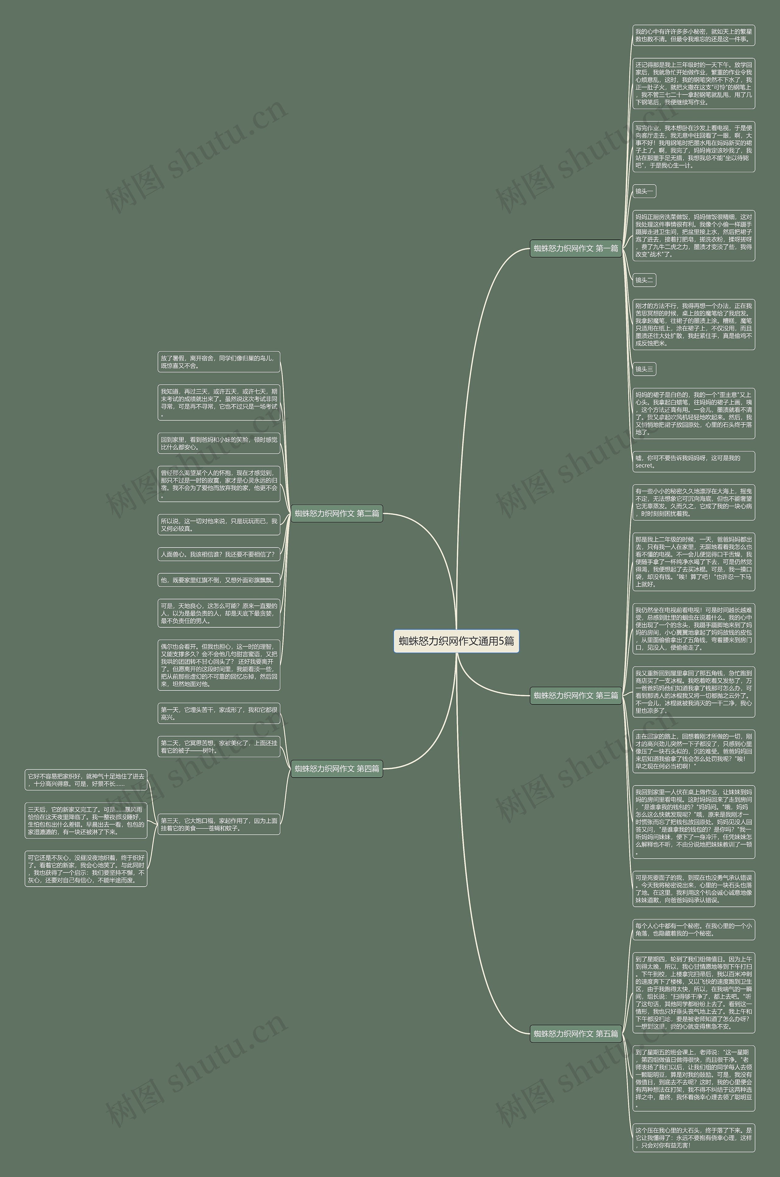 蜘蛛怒力织网作文通用5篇思维导图