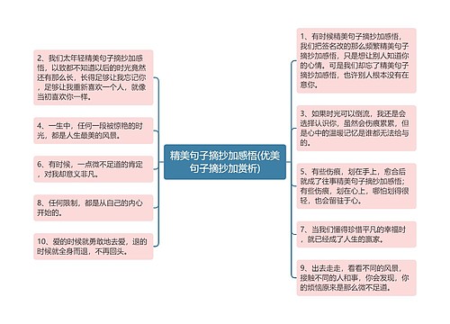 精美句子摘抄加感悟(优美句子摘抄加赏析)