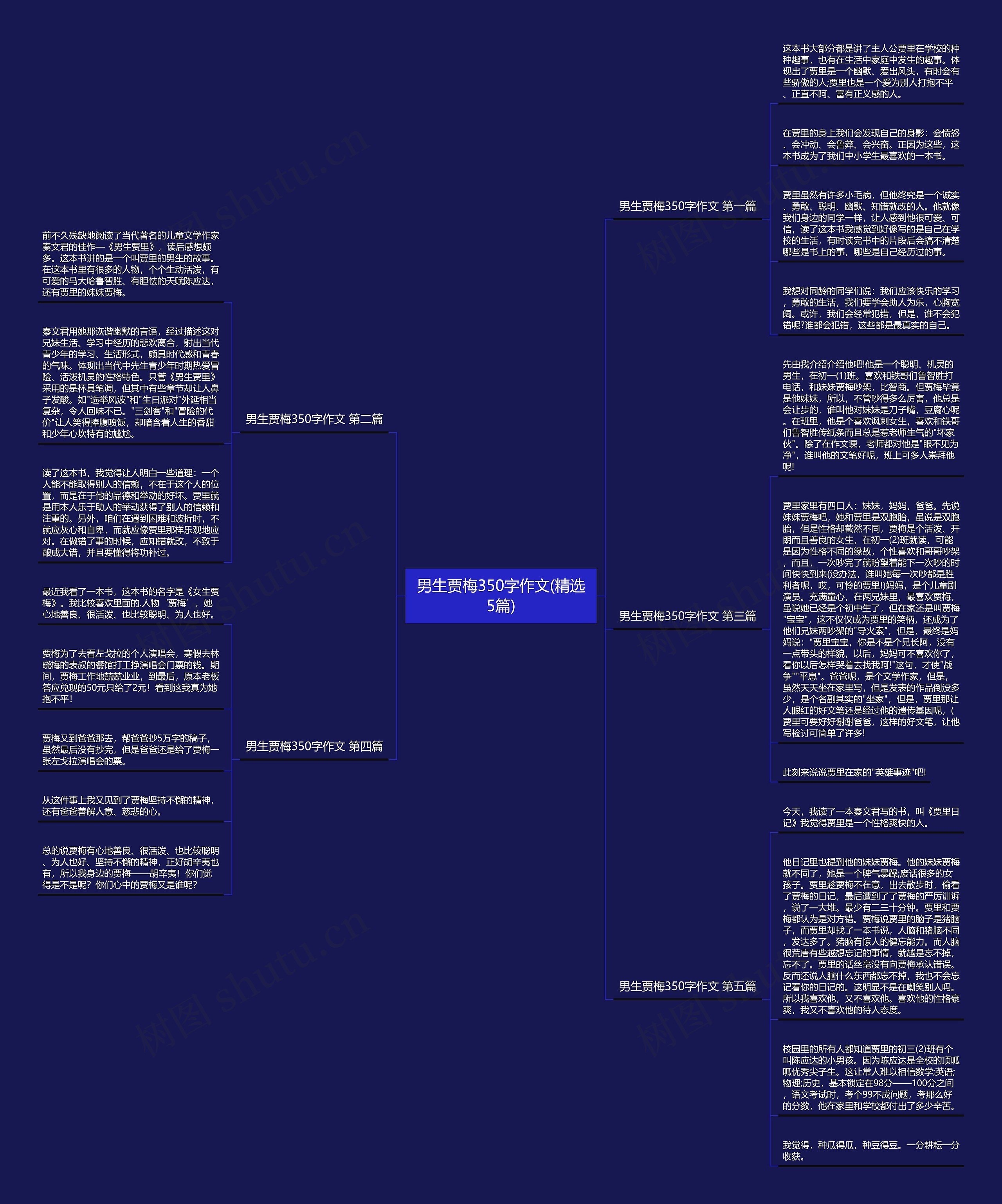 男生贾梅350字作文(精选5篇)思维导图