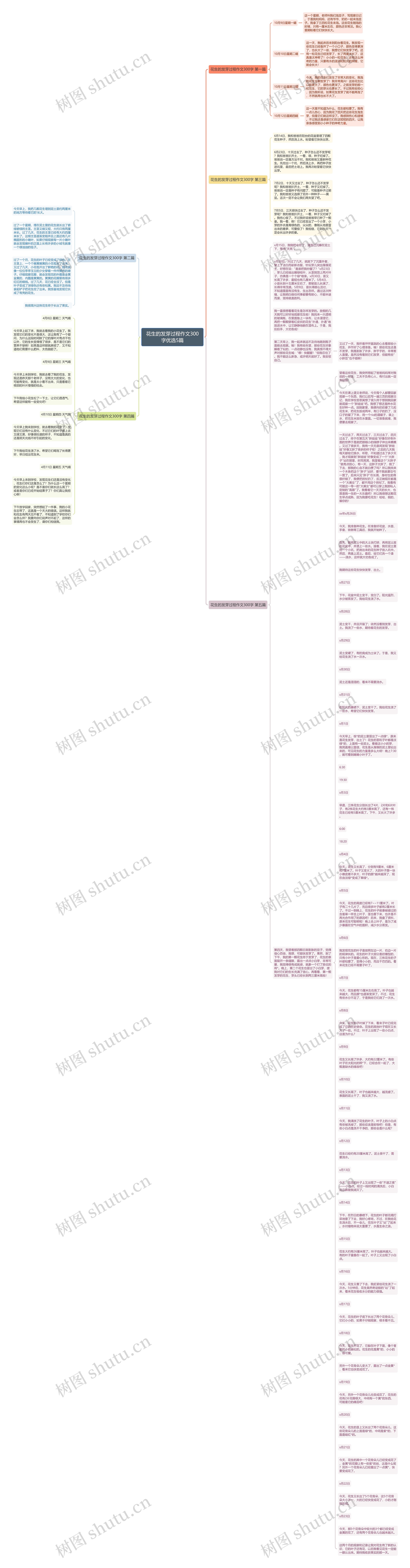 花生的发芽过程作文300字优选5篇思维导图