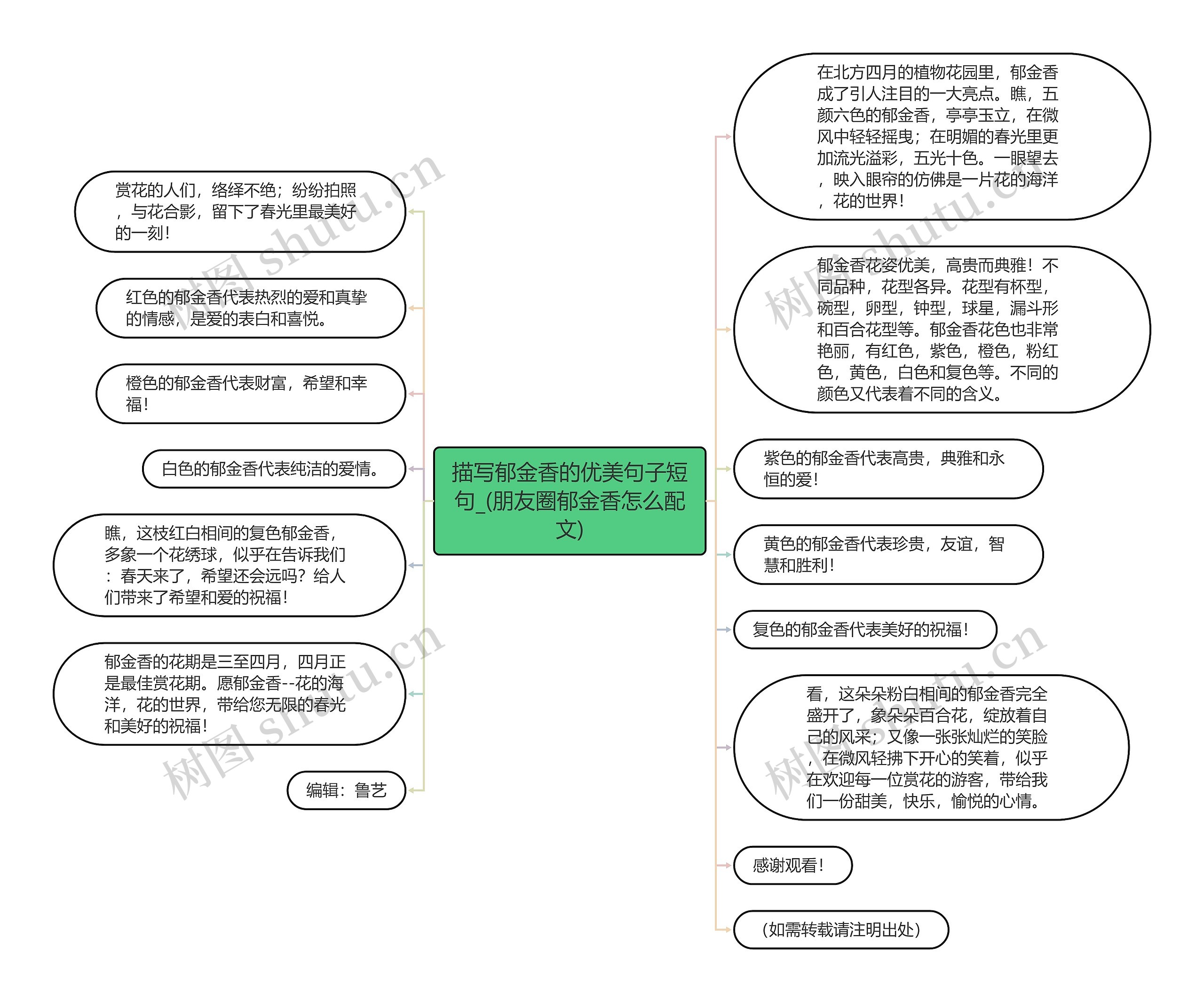 描写郁金香的优美句子短句_(朋友圈郁金香怎么配文)思维导图