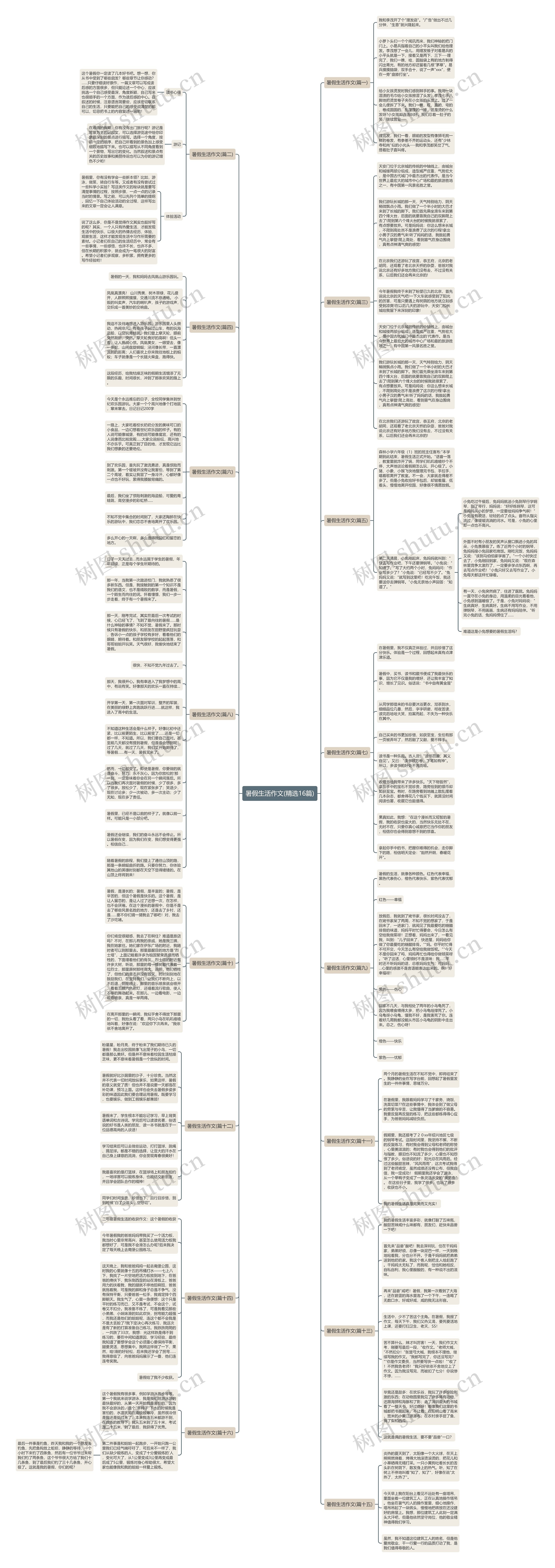 暑假生活作文(精选16篇)思维导图