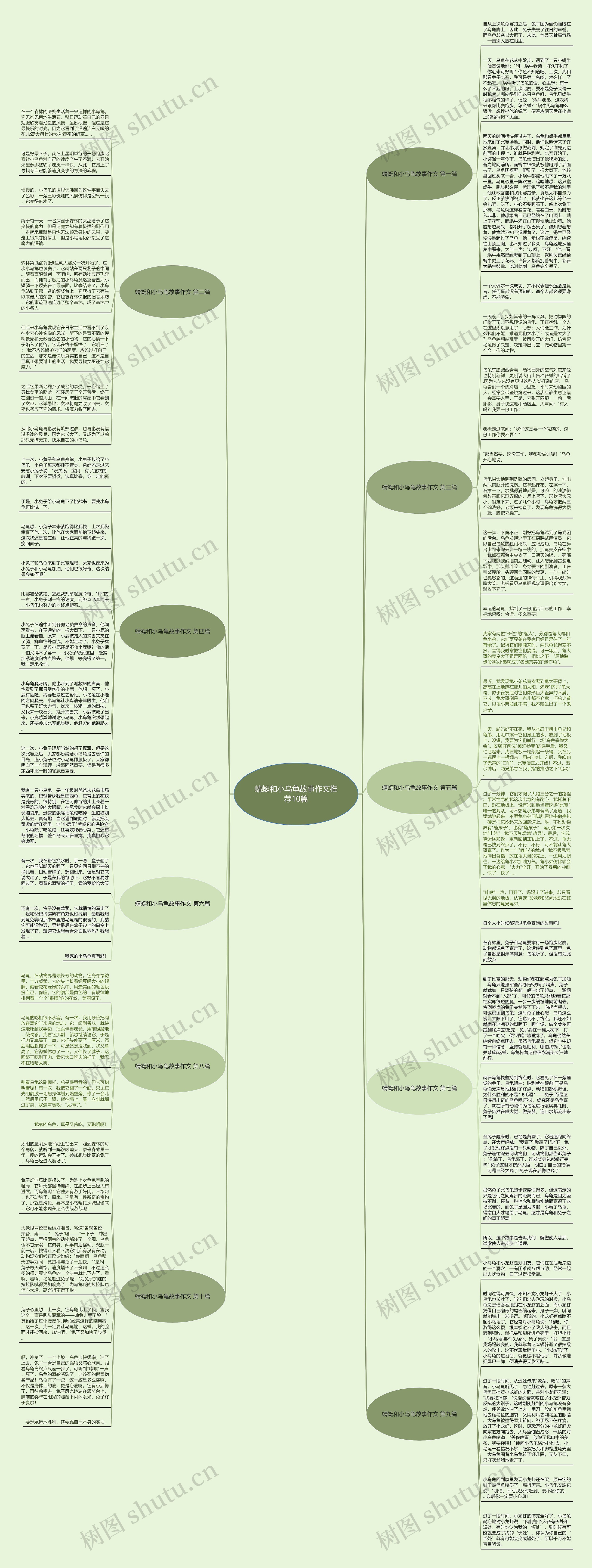 蜻蜓和小乌龟故事作文推荐10篇思维导图