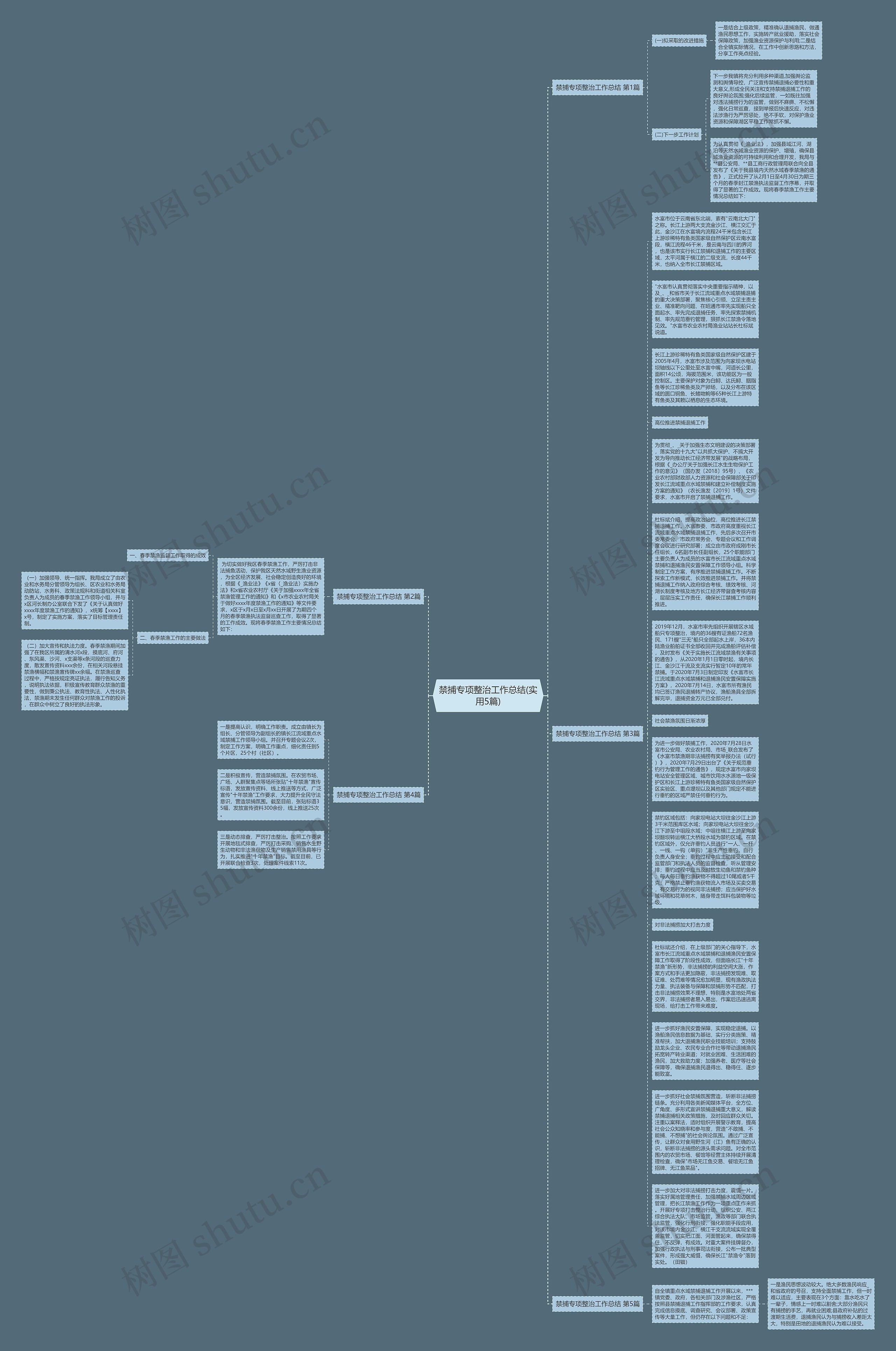 禁捕专项整治工作总结(实用5篇)思维导图高清图 禁捕专项整治工作总结(实用5篇)思维导图