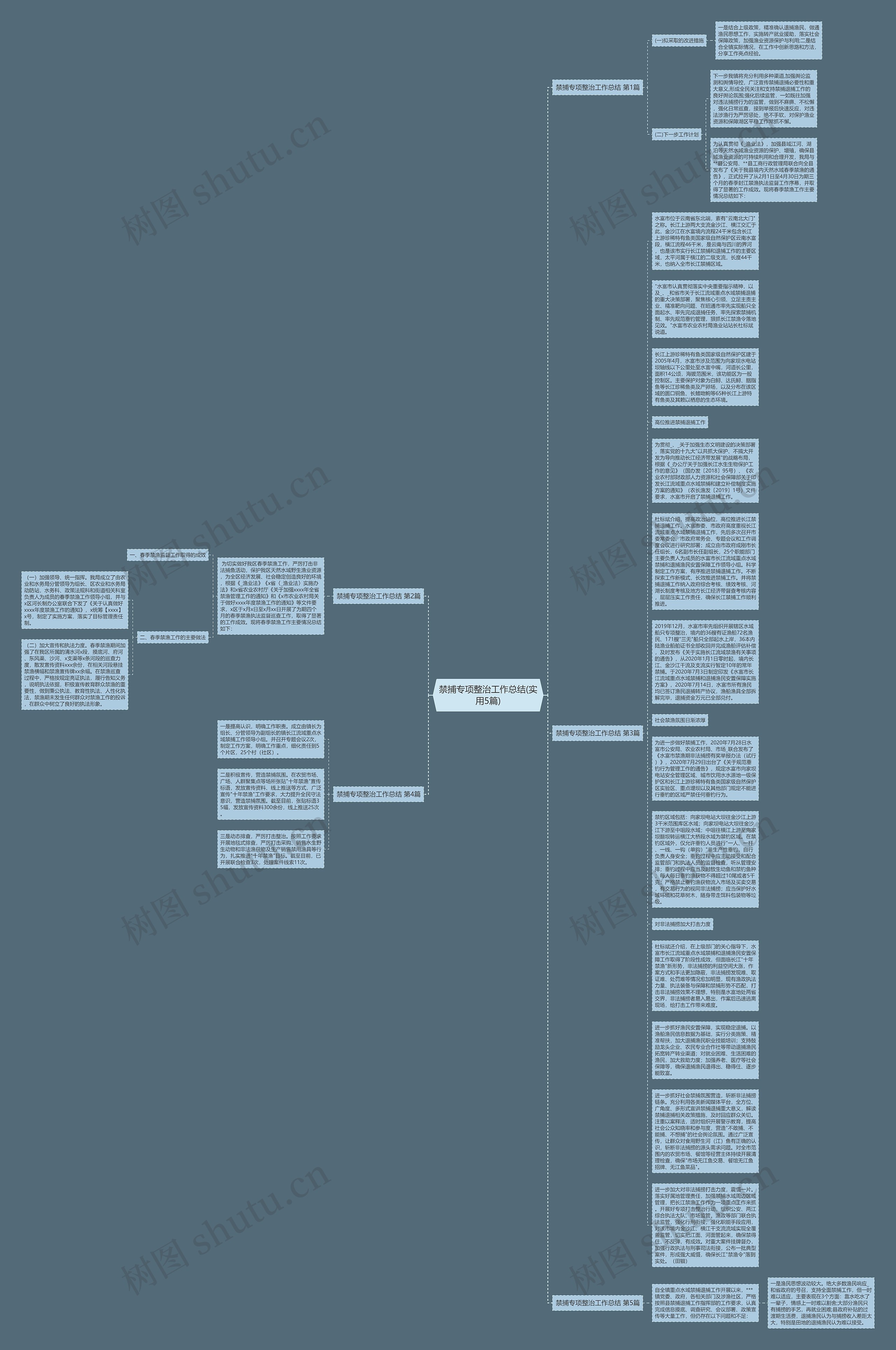 禁捕专项整治工作总结(实用5篇)思维导图