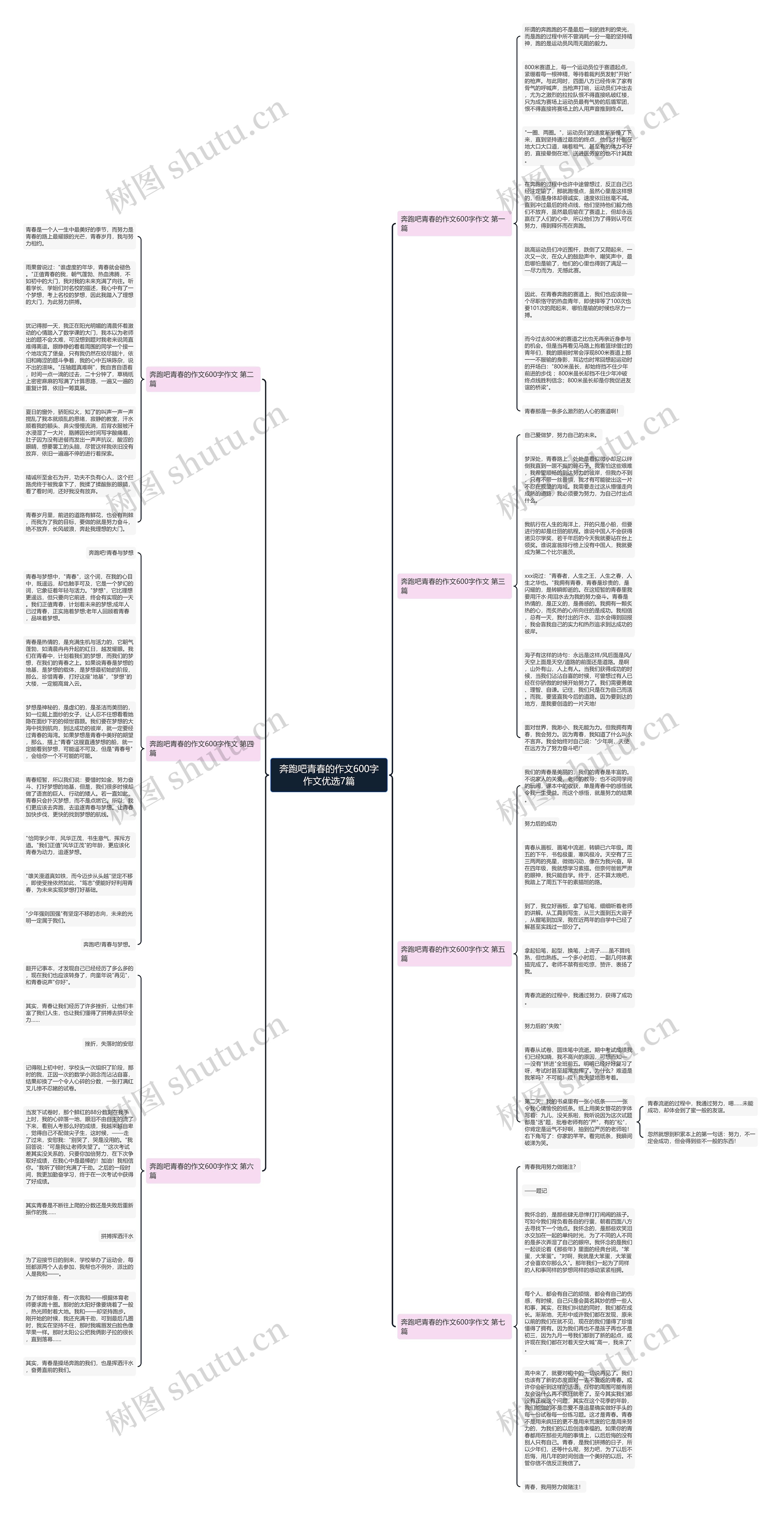 奔跑吧青春的作文600字作文优选7篇思维导图