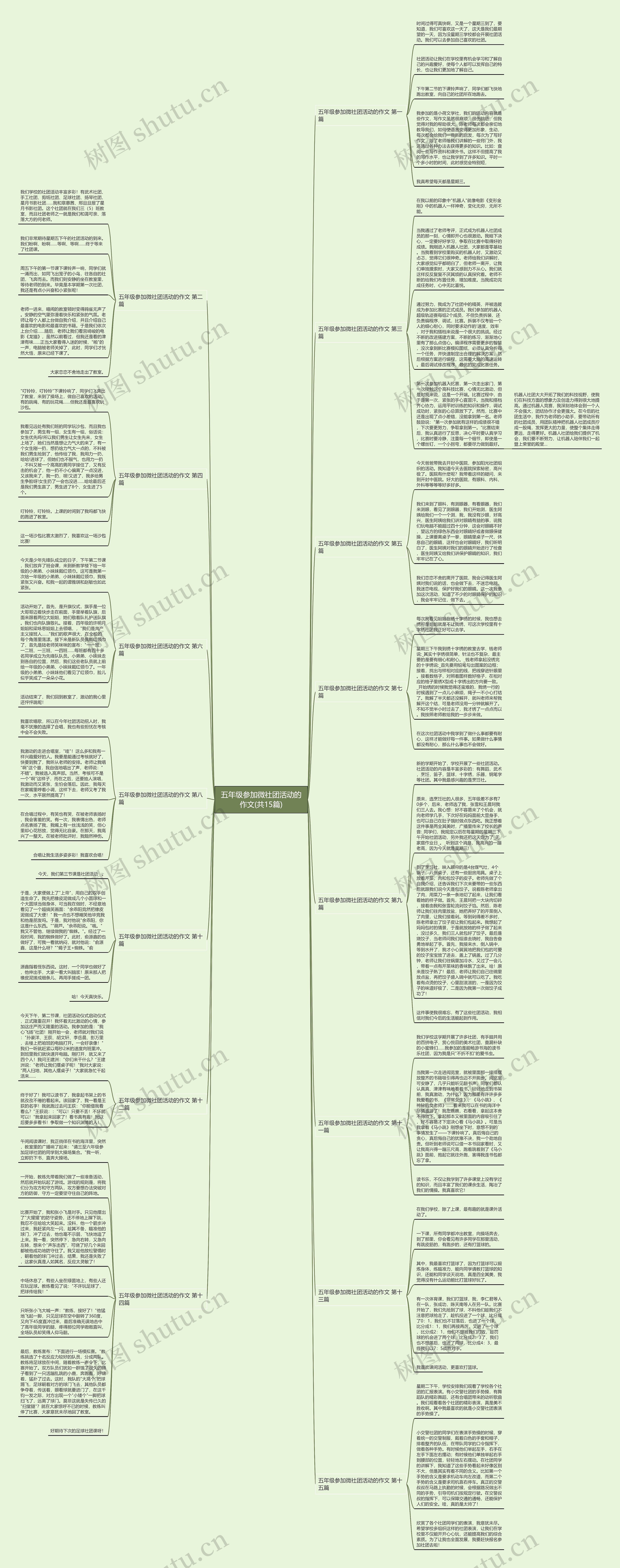 五年级参加微社团活动的作文(共15篇)思维导图