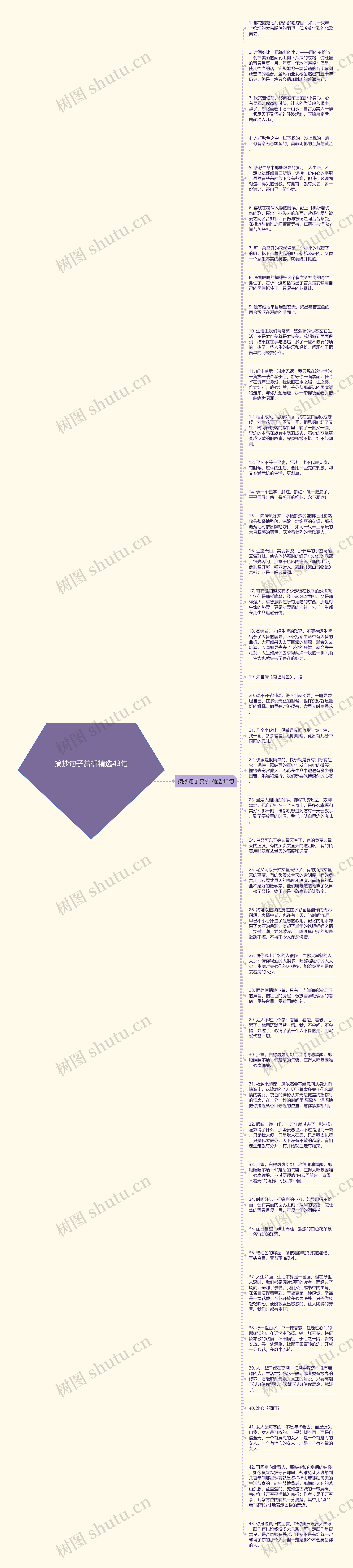 摘抄句子赏析精选43句思维导图