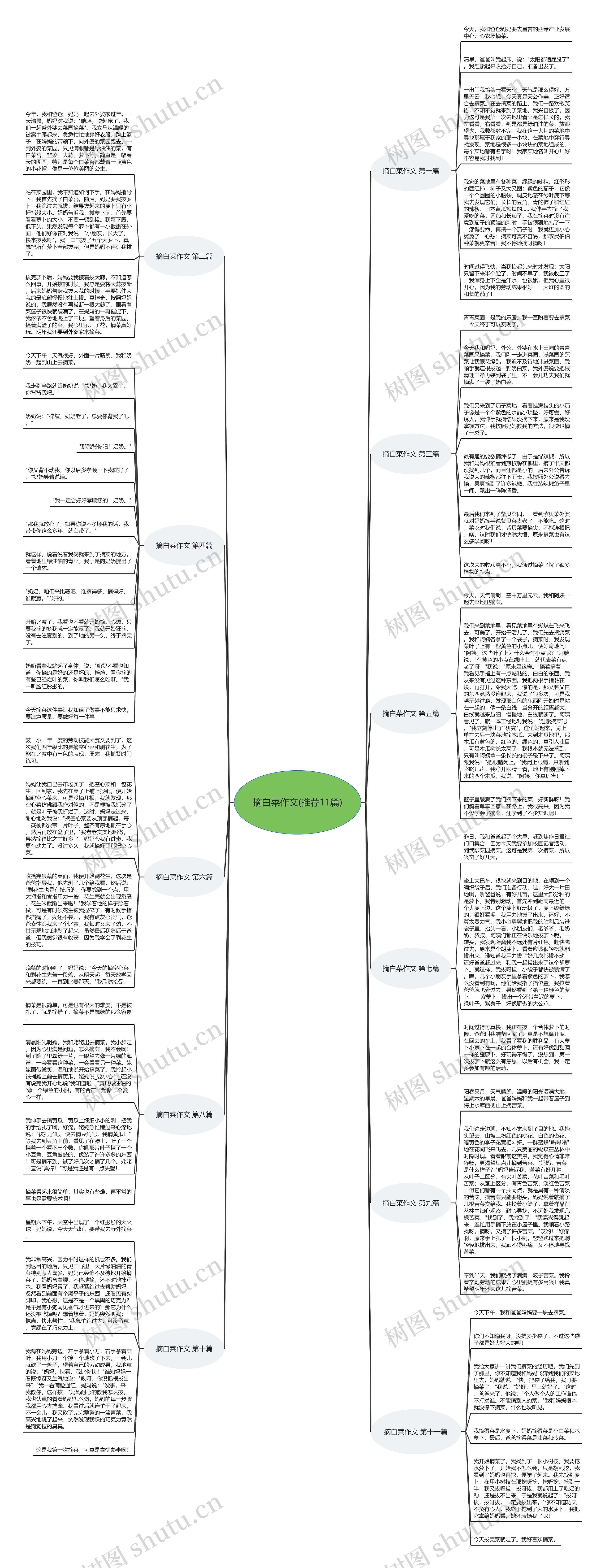 摘白菜作文(推荐11篇)思维导图