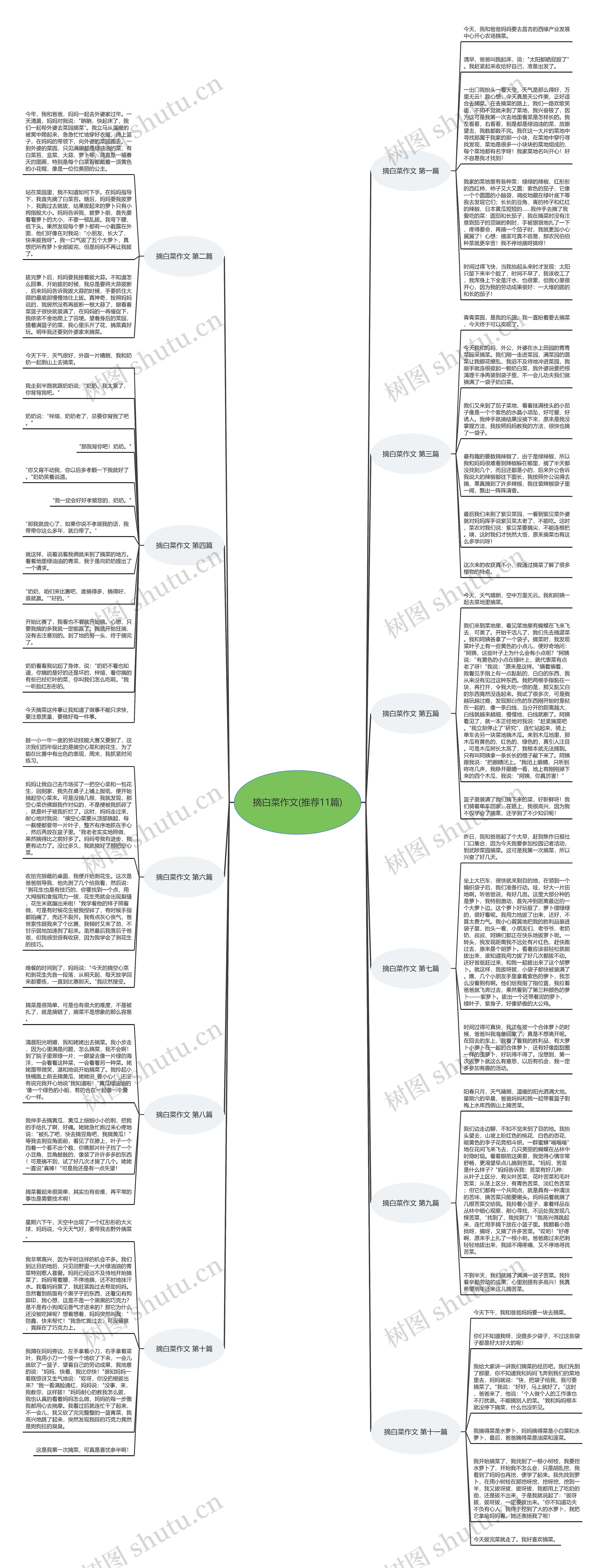 摘白菜作文(推荐11篇) 摘白菜作文(推荐11篇)
