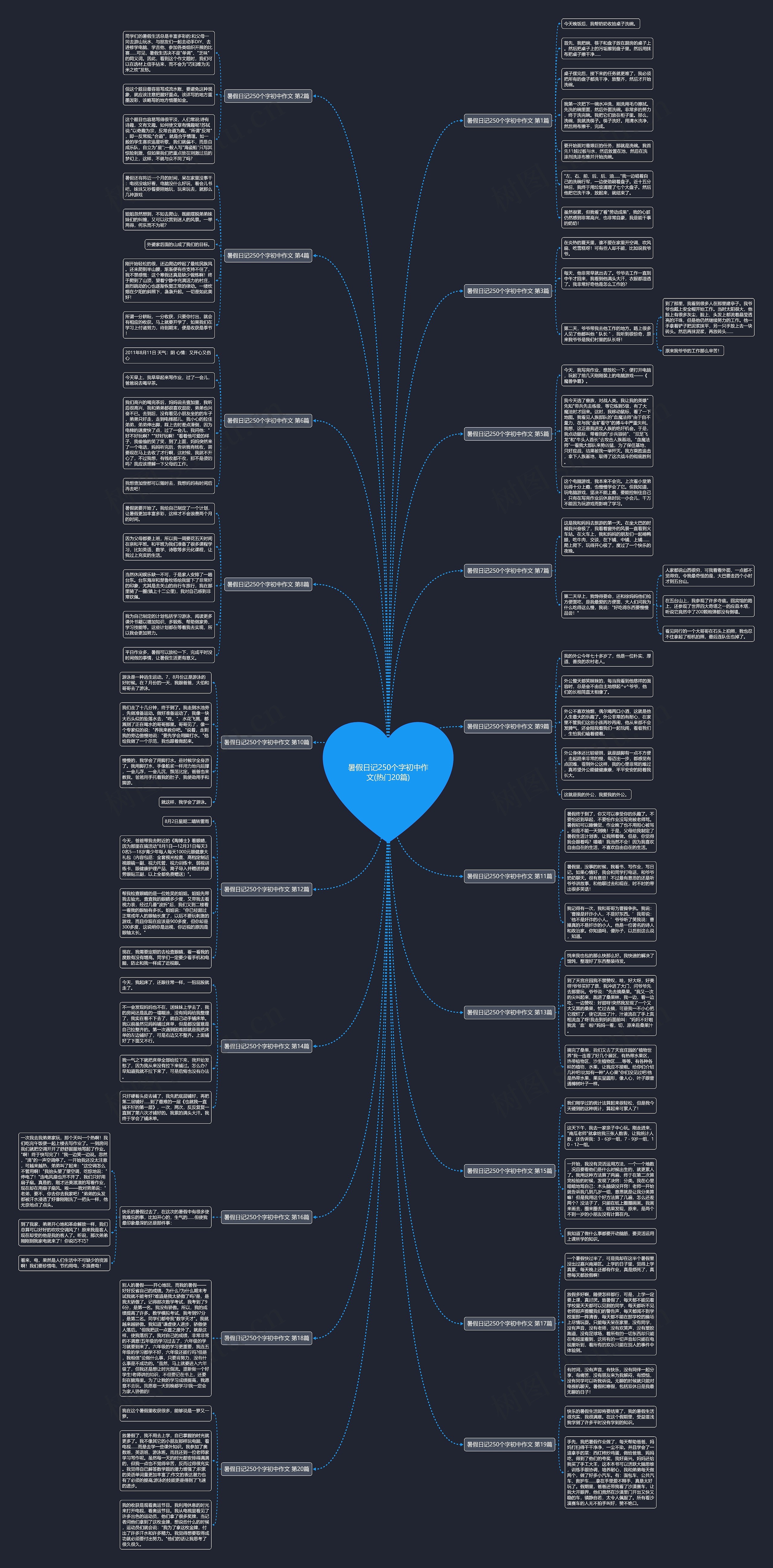 暑假日记250个字初中作文(热门20篇)思维导图