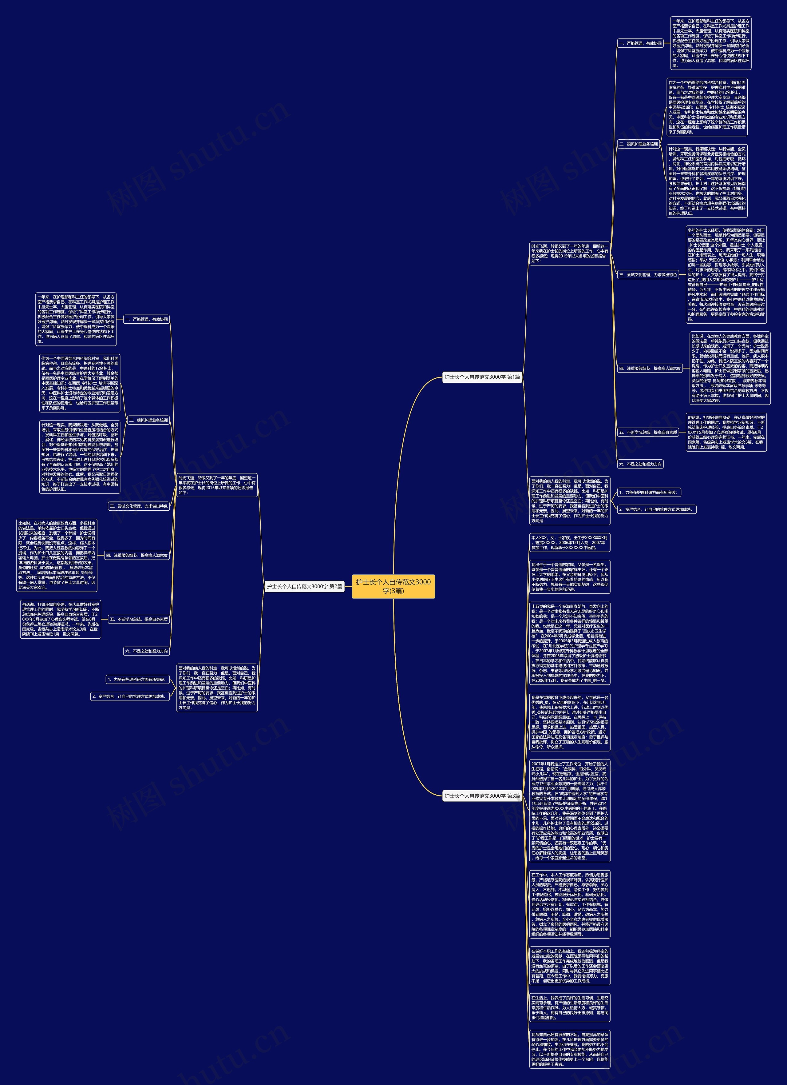 护士长个人自传范文3000字(3篇)思维导图