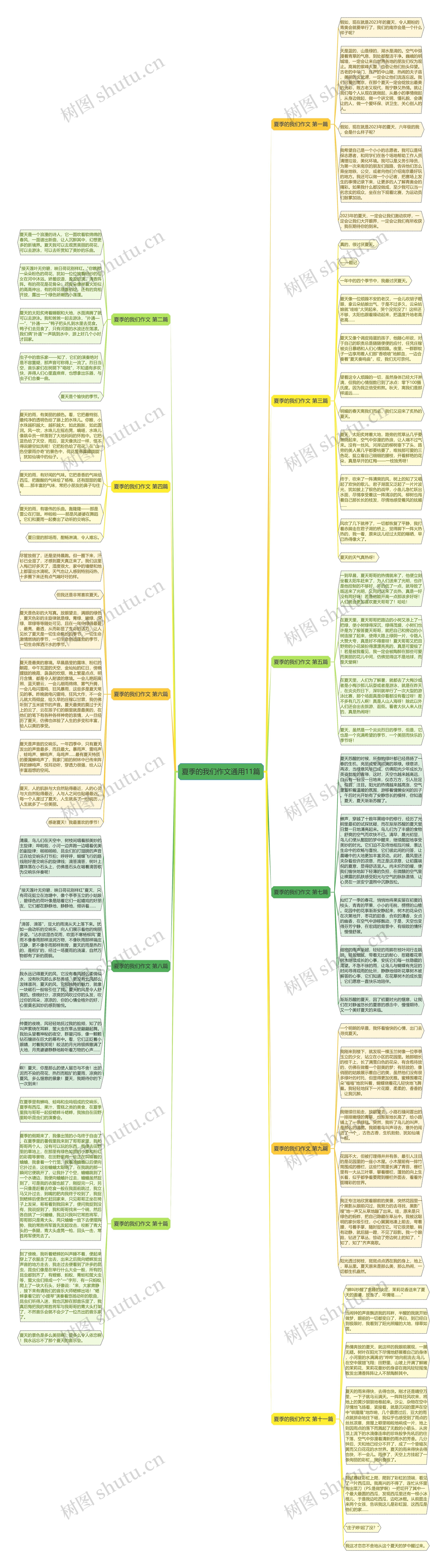 夏季的我们作文通用11篇思维导图