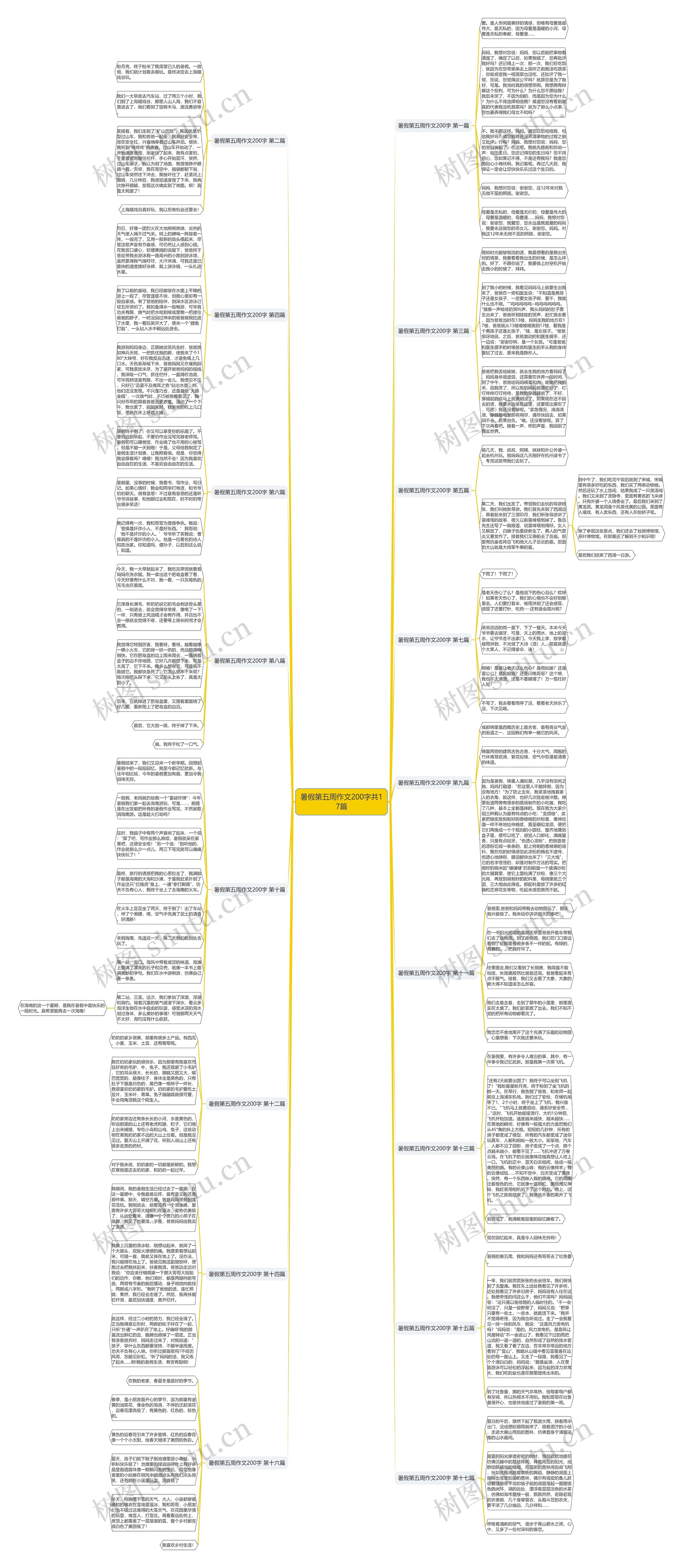 暑假第五周作文200字共17篇思维导图