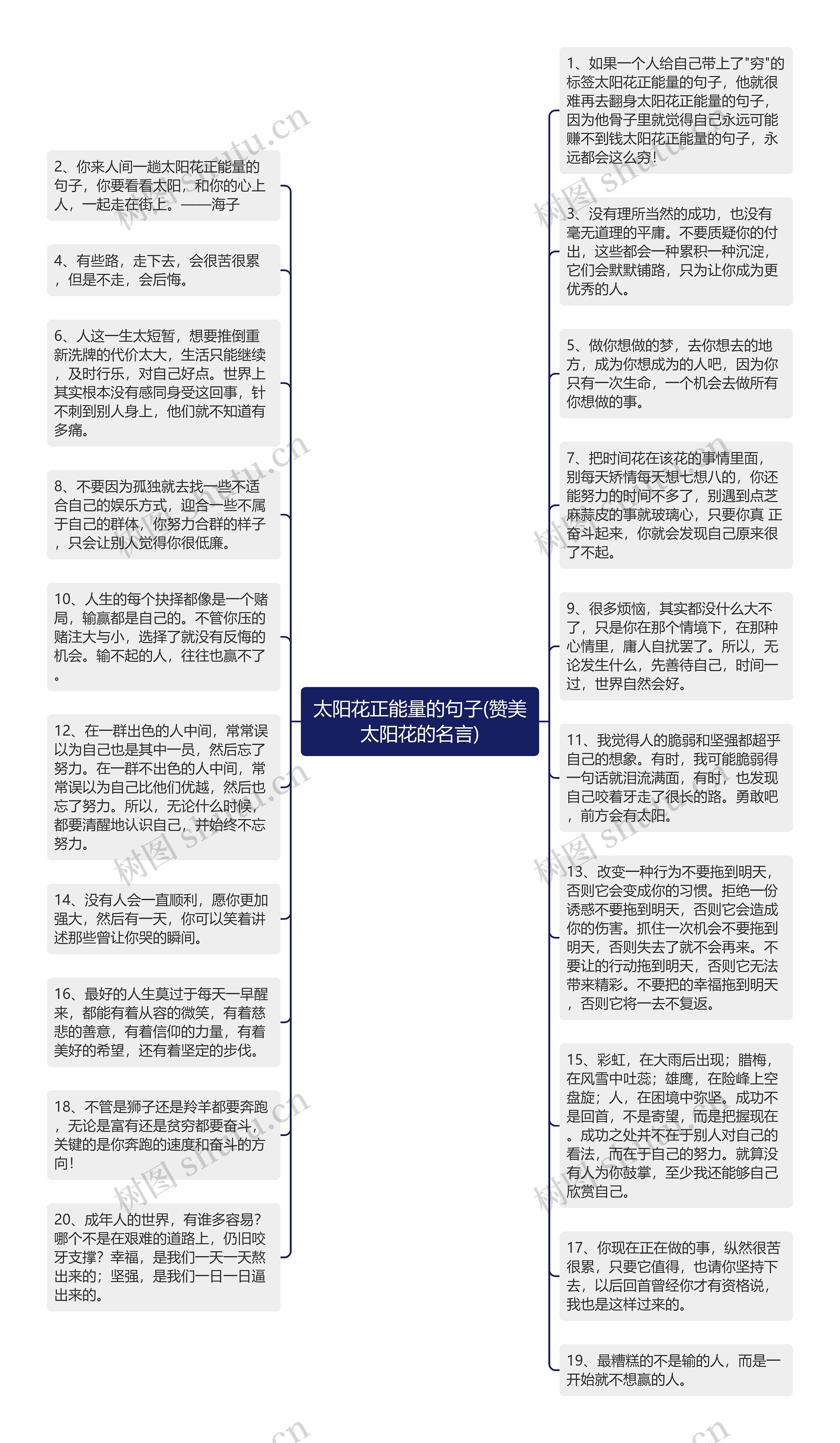 太阳花正能量的句子(赞美太阳花的名言)